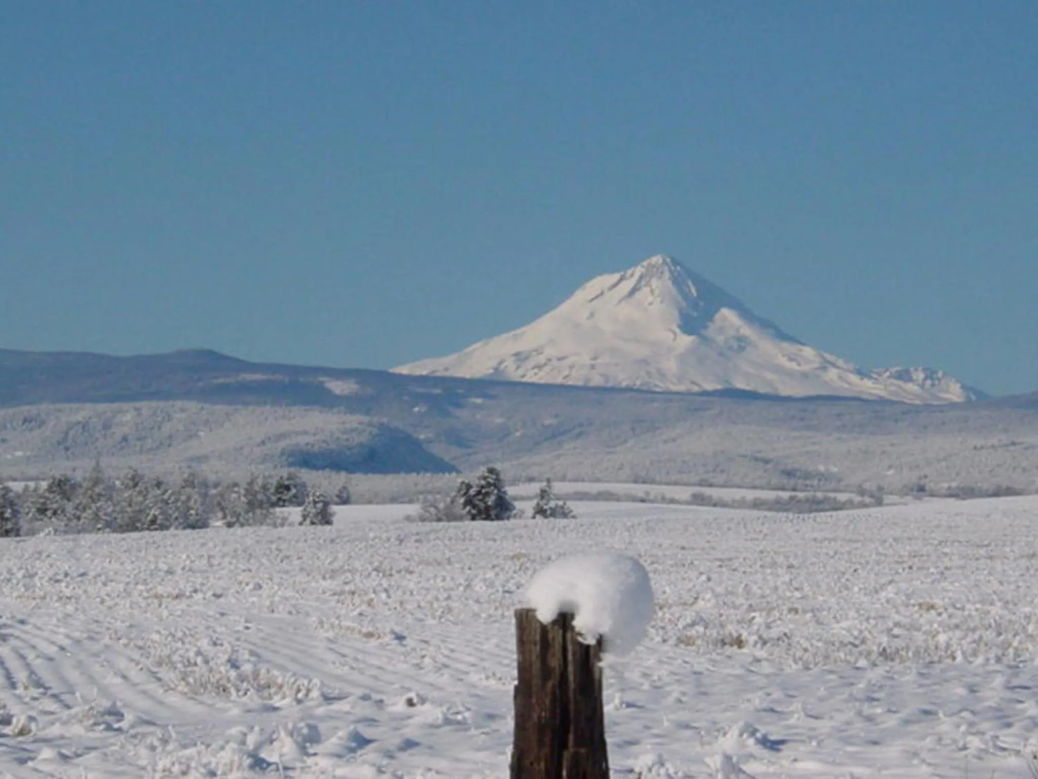 Nearby landmark in Balch Hotel