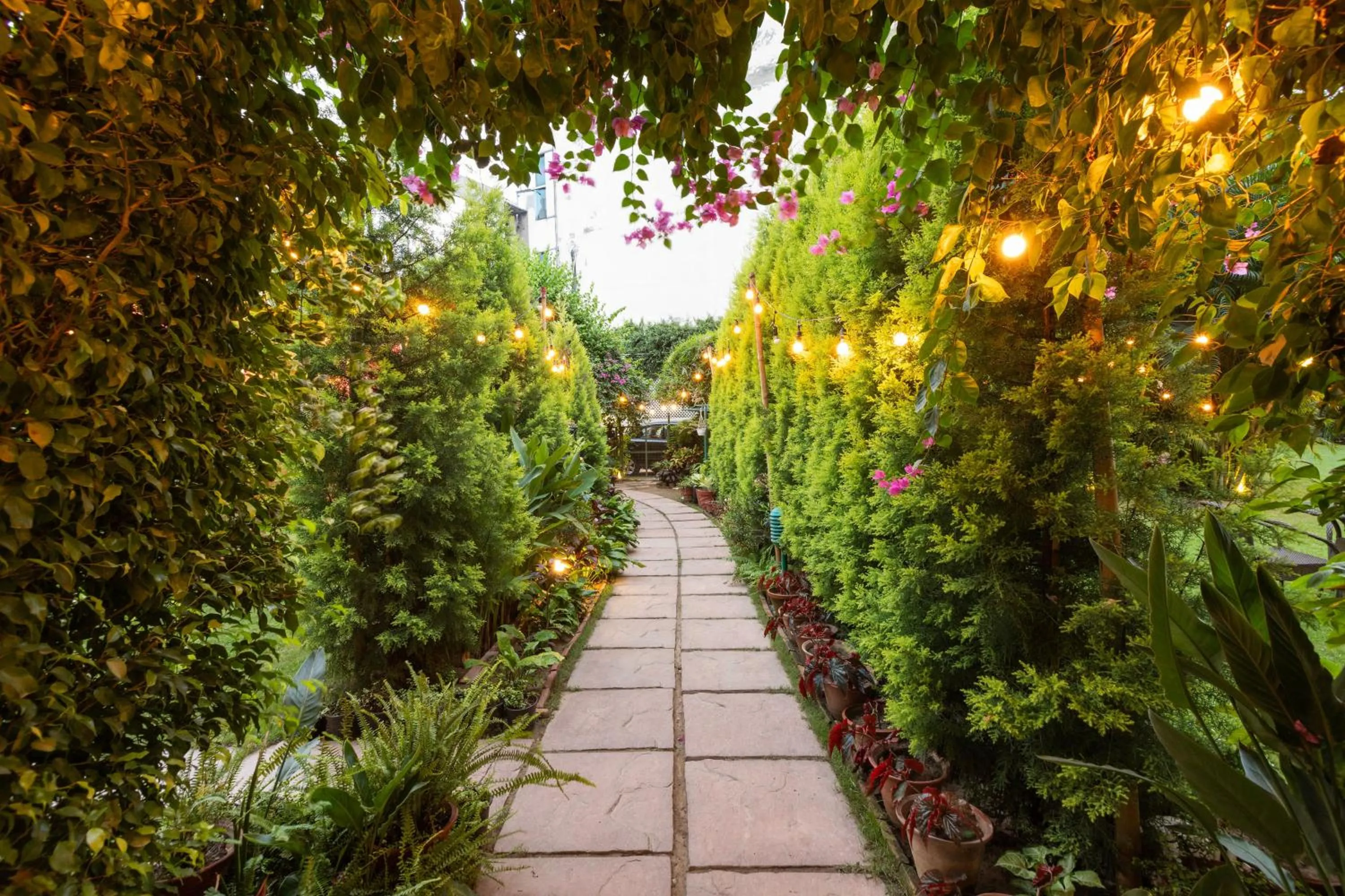 Garden in Hotel Kamal Palace