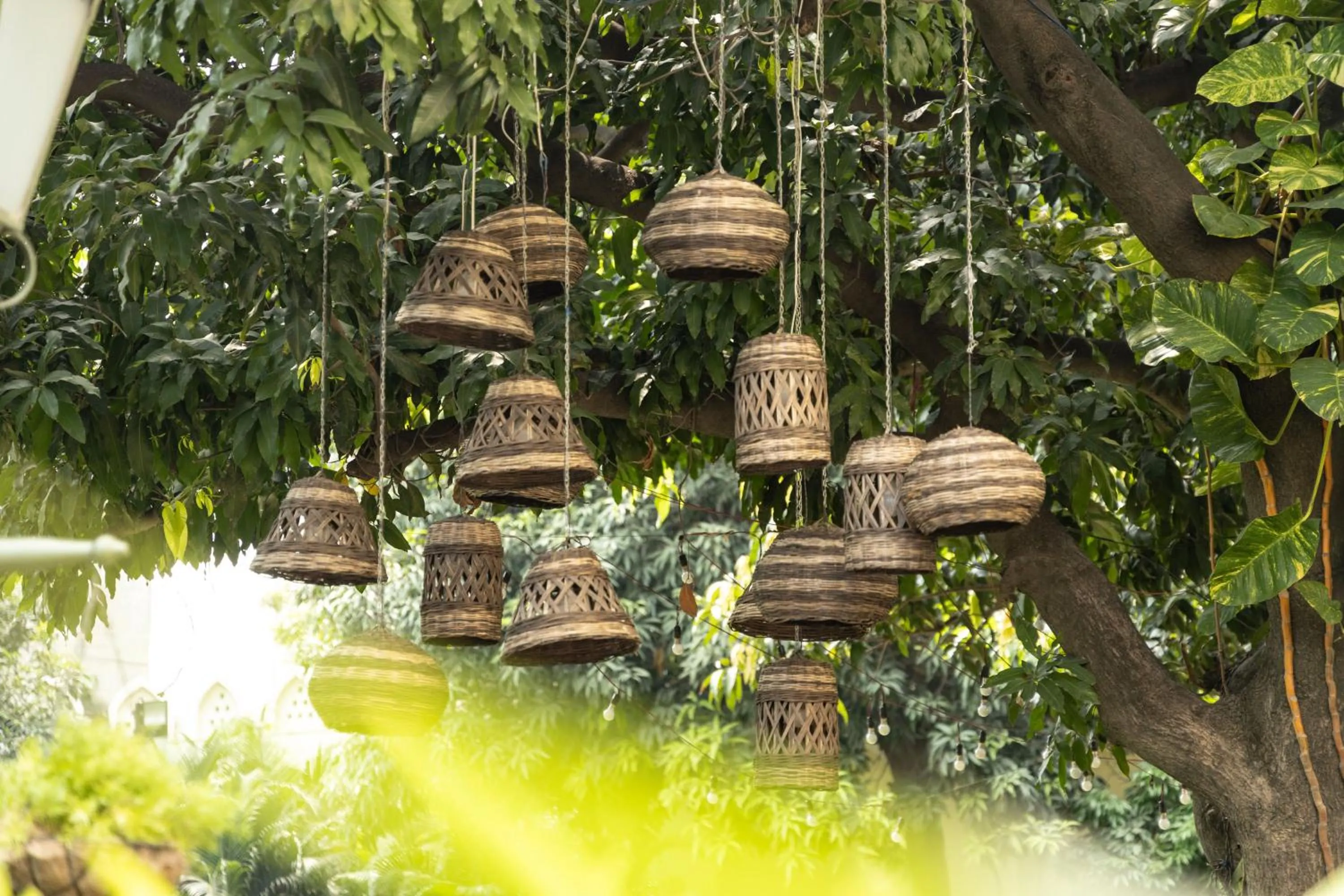 Garden in Hotel Kamal Palace