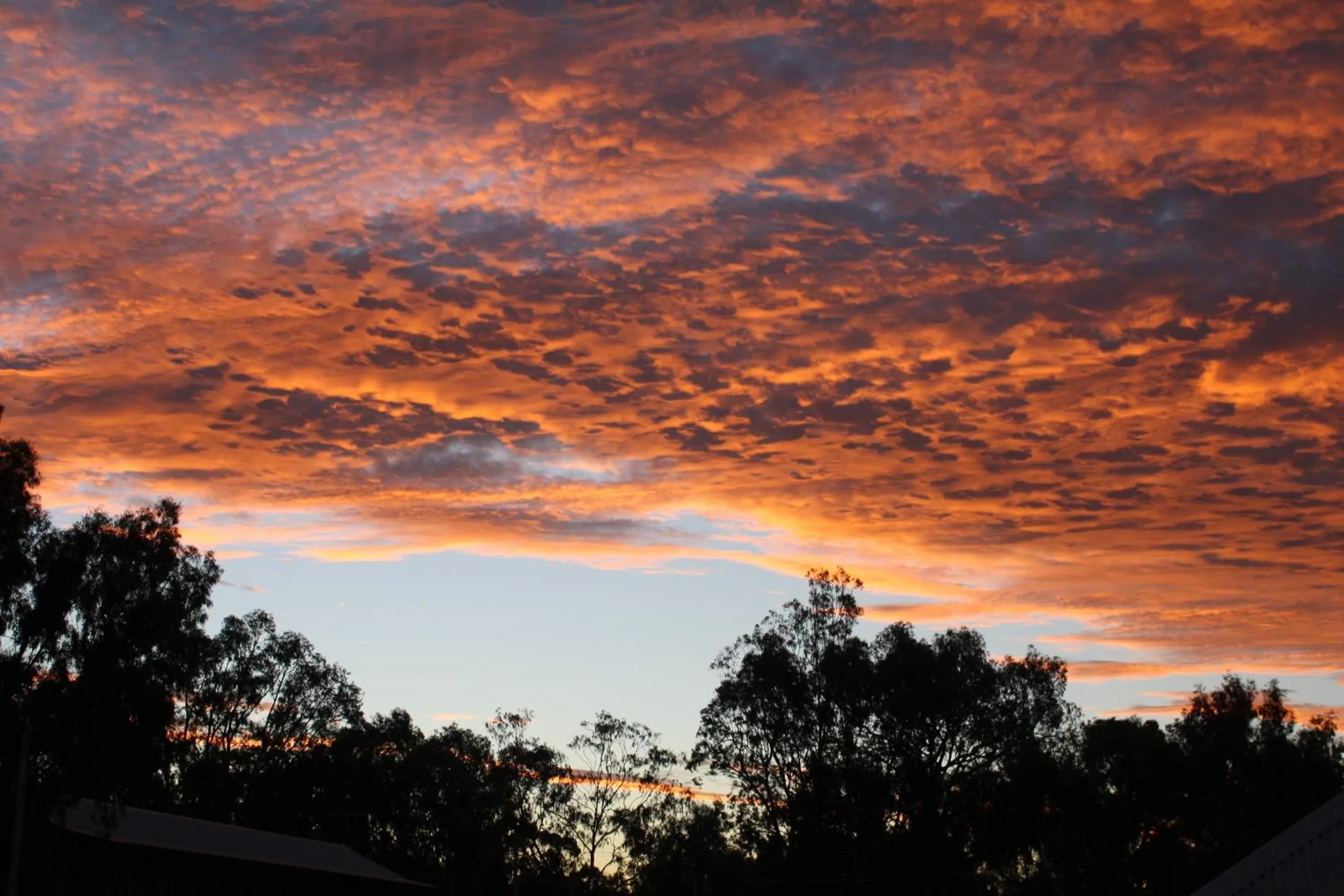 Natural landscape in The York Palace Accommodation