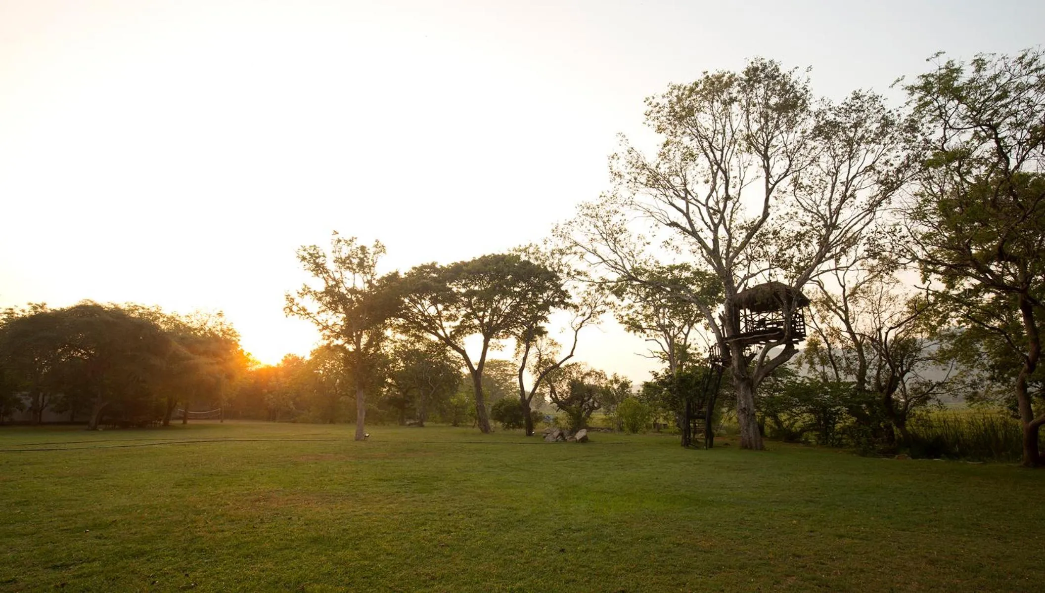Garden in Grand Tamarind Lake