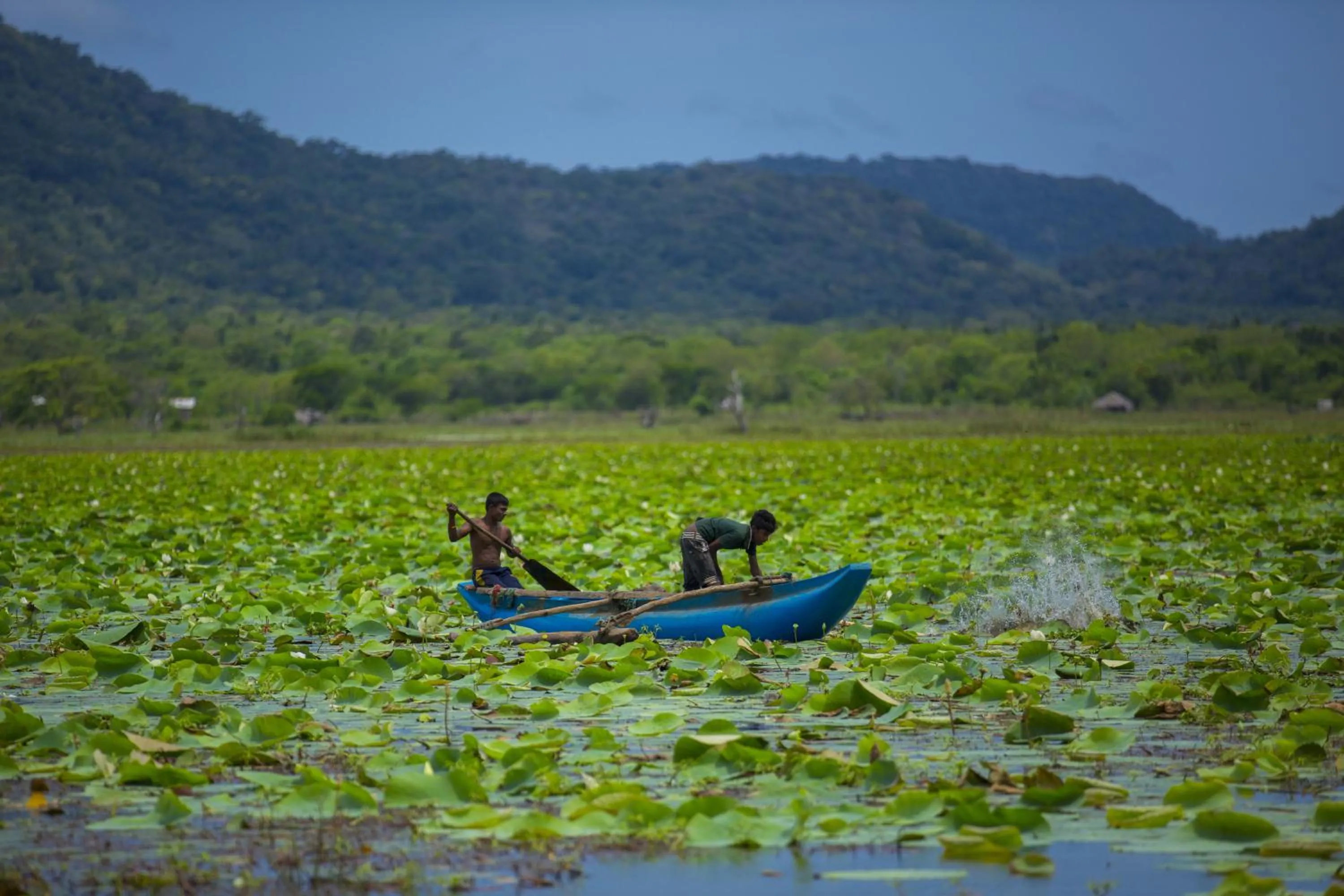 Natural landscape in Grand Tamarind Lake