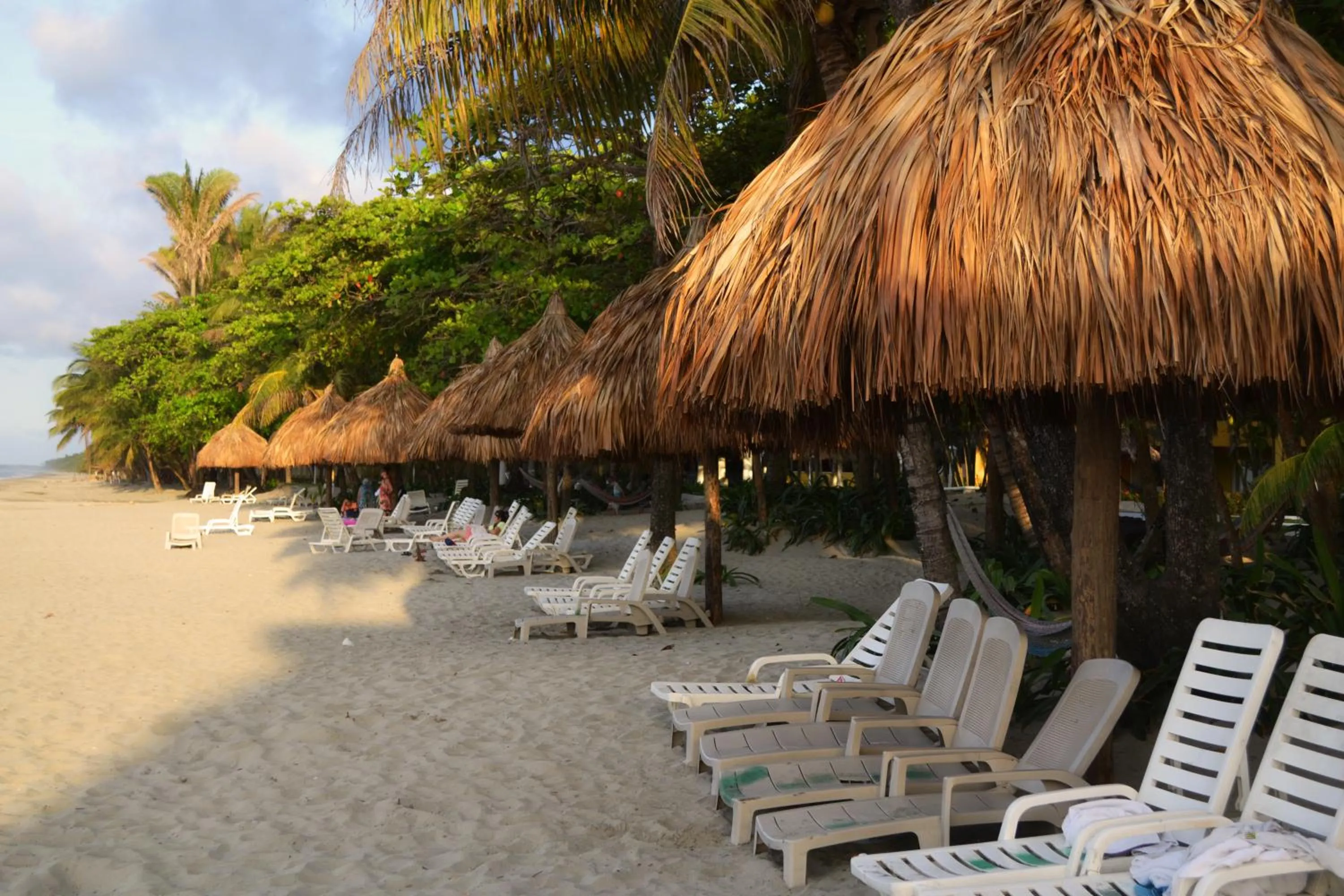 Day in Hotel Palma Real