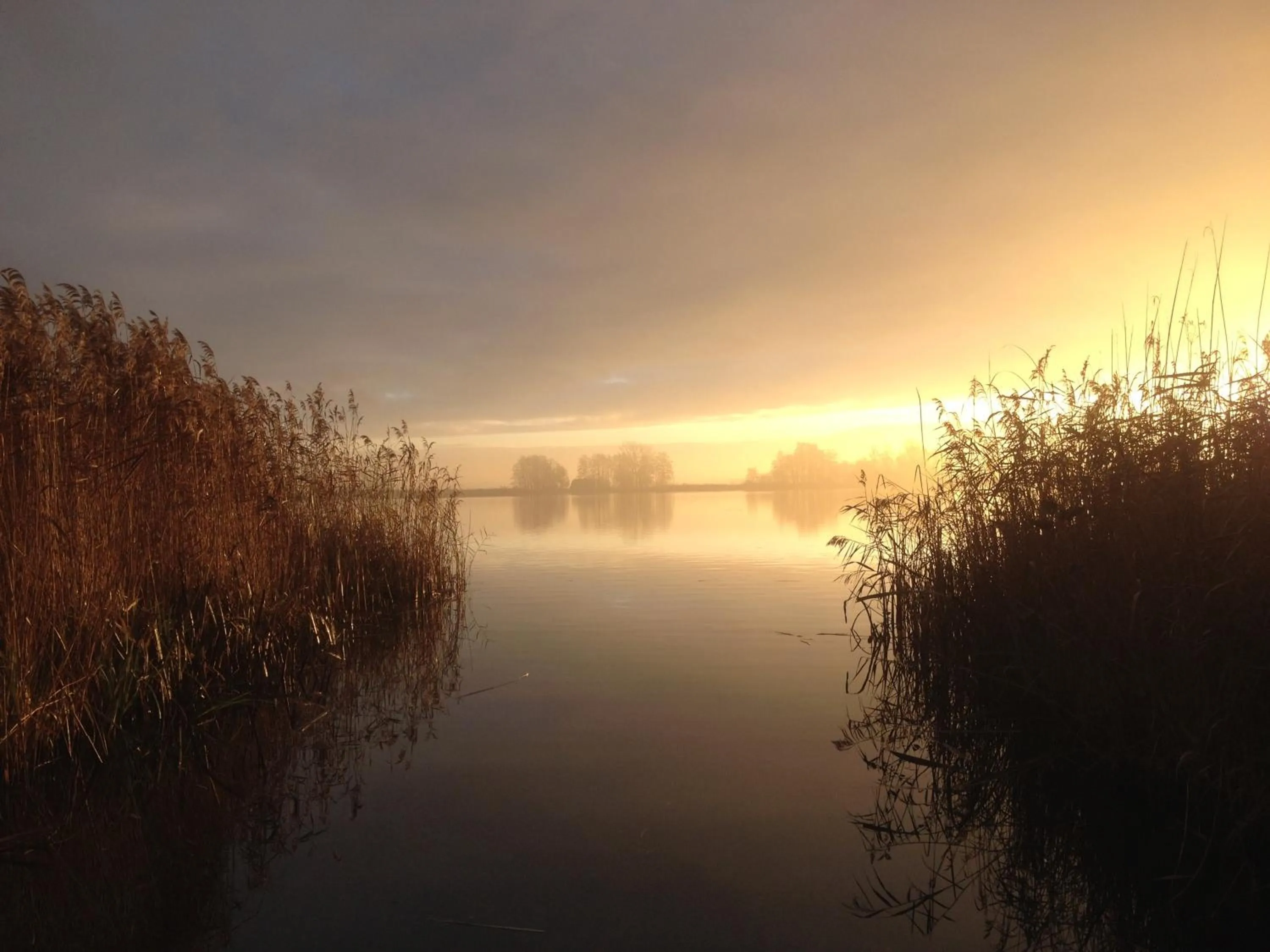 Natural landscape in Bed & Bike De Hofstee