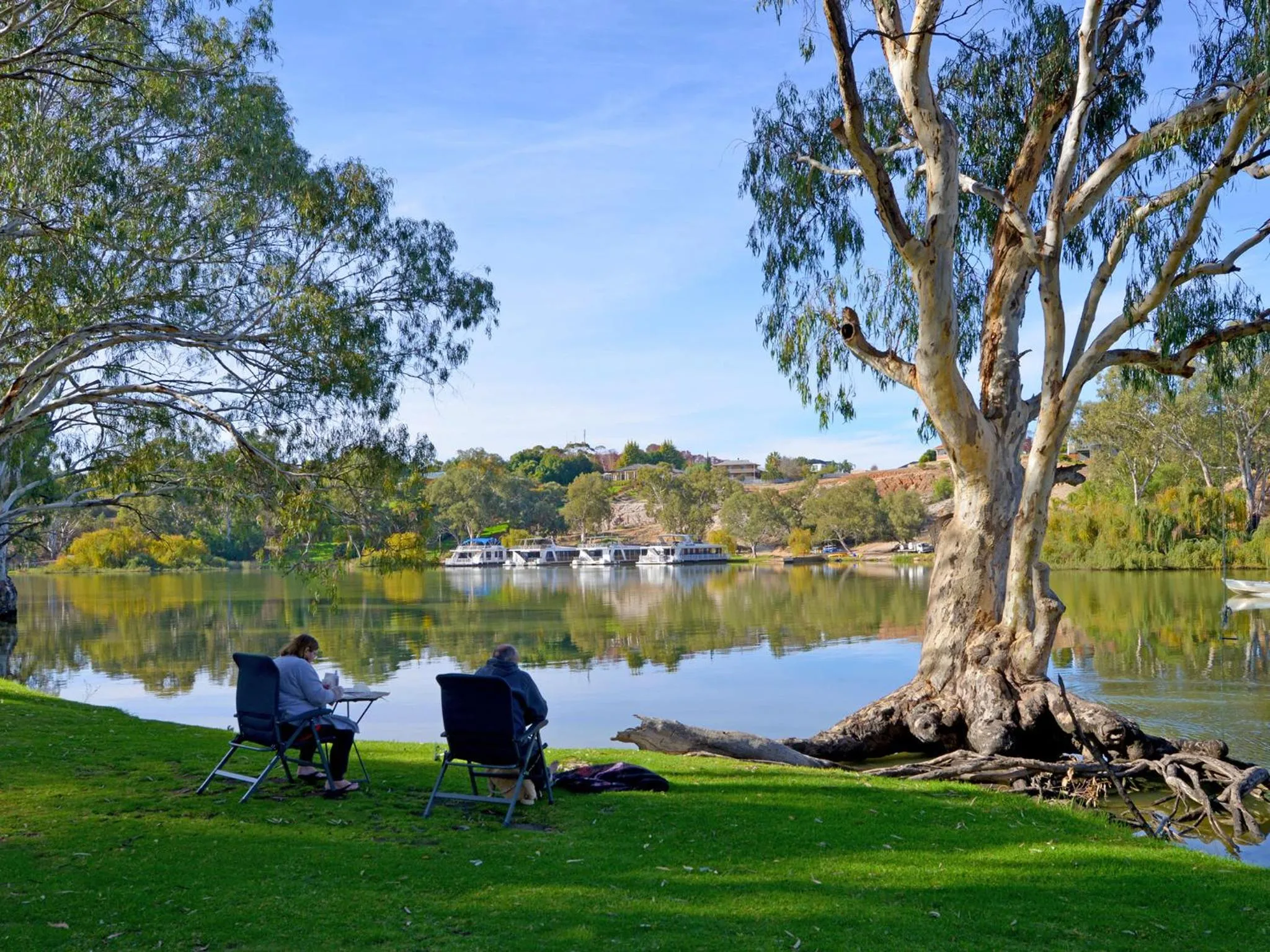 Natural landscape in Echo Holiday Parks - Renmark