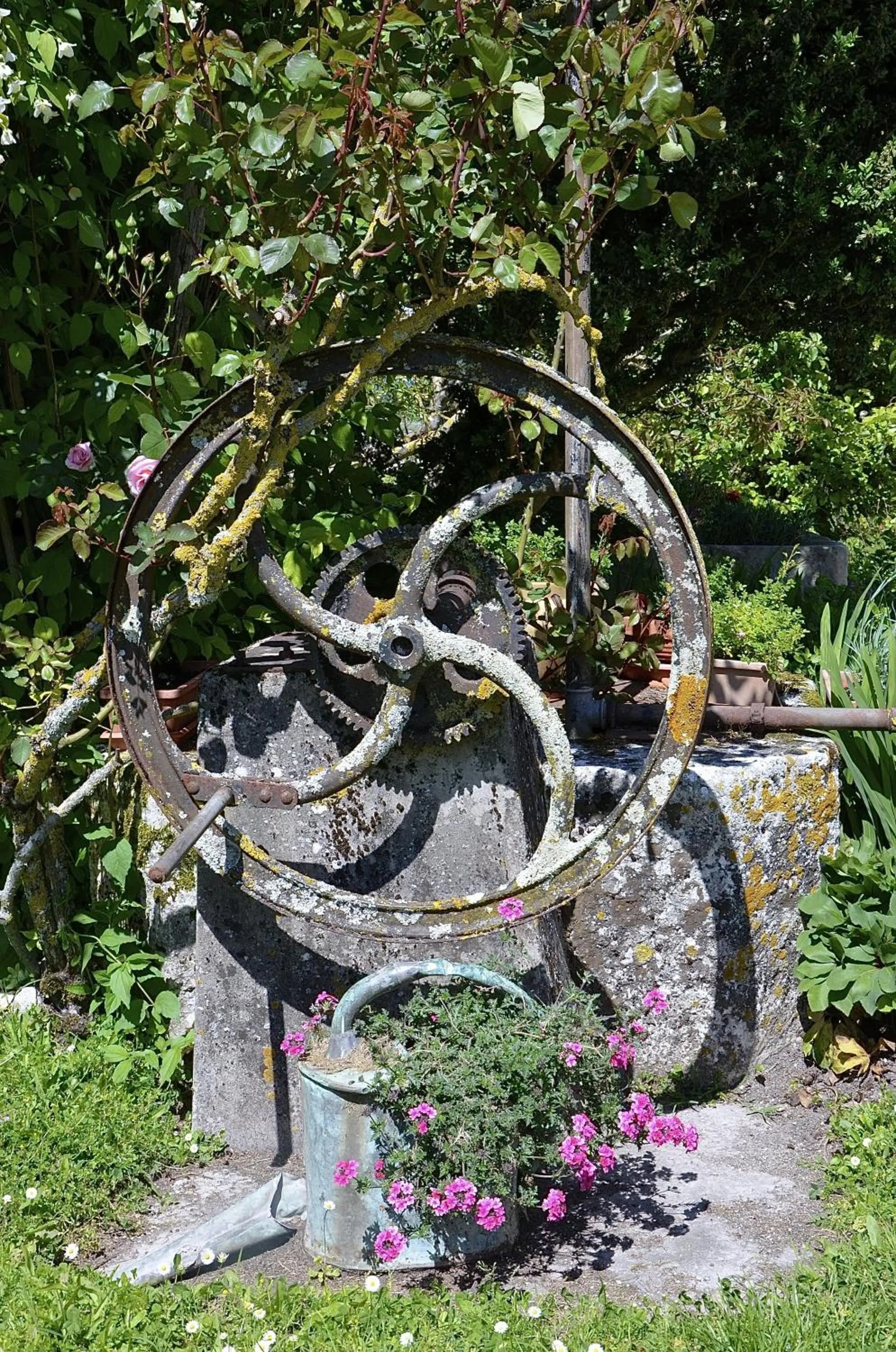 Garden in Le Vieux Noyer