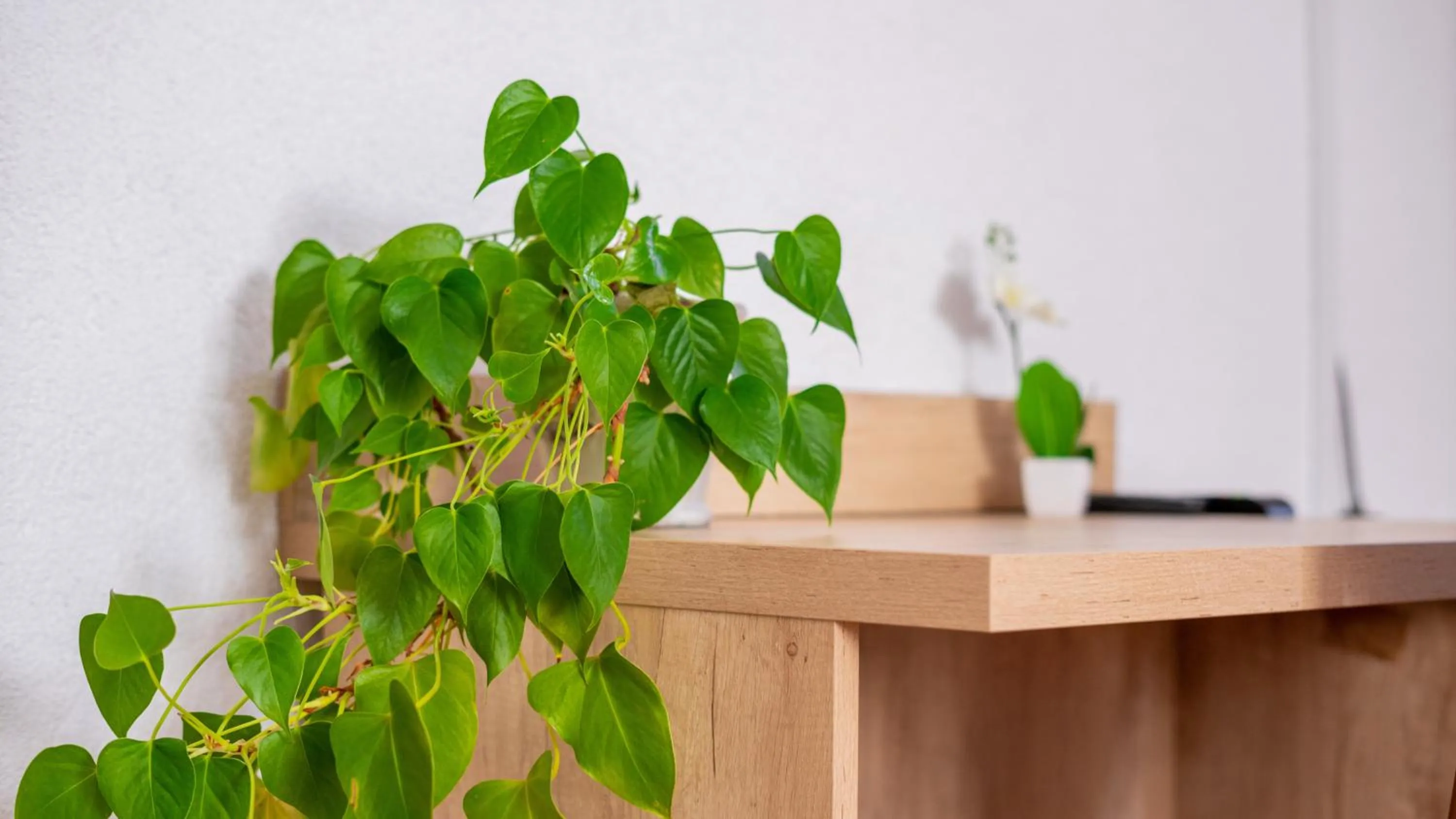 Other in Hotel Kreuz