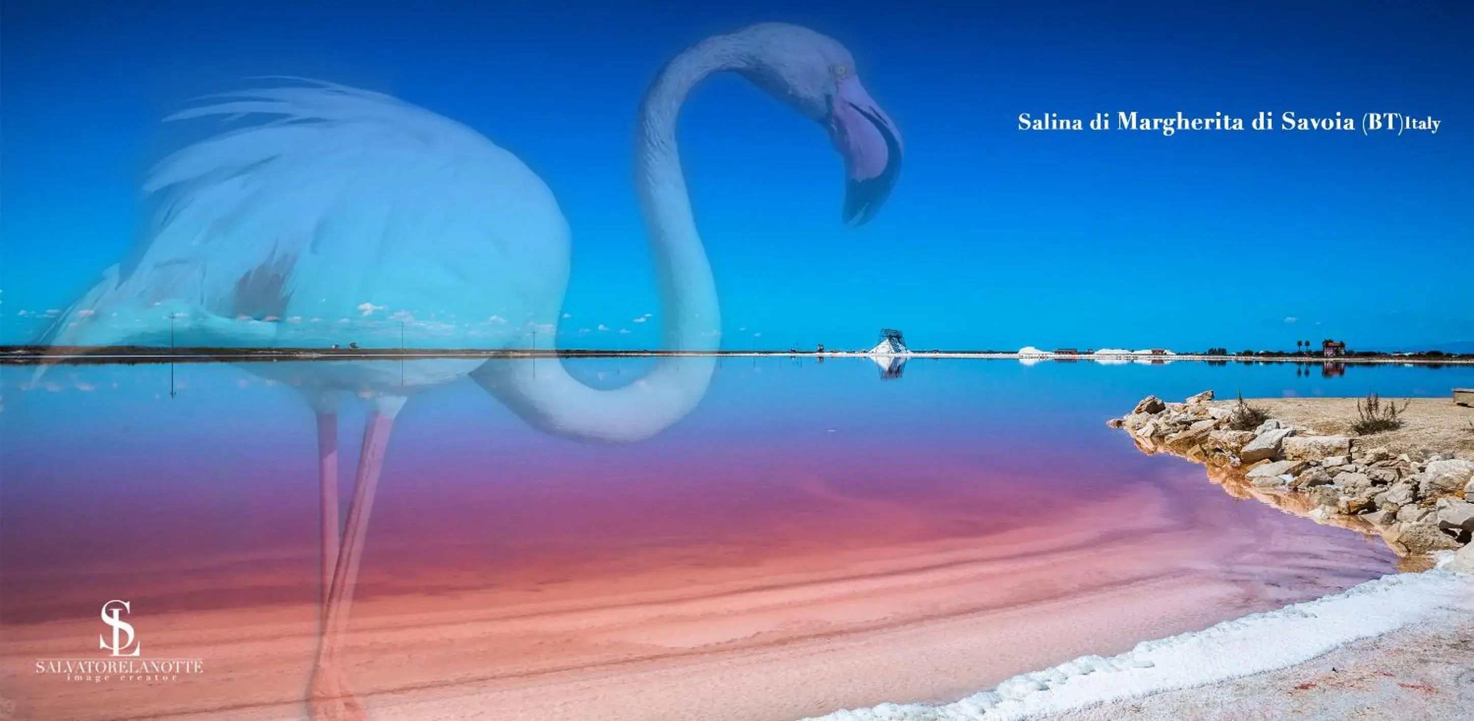 Double Room in La Perla delle Saline Double Room in La Perla delle Saline