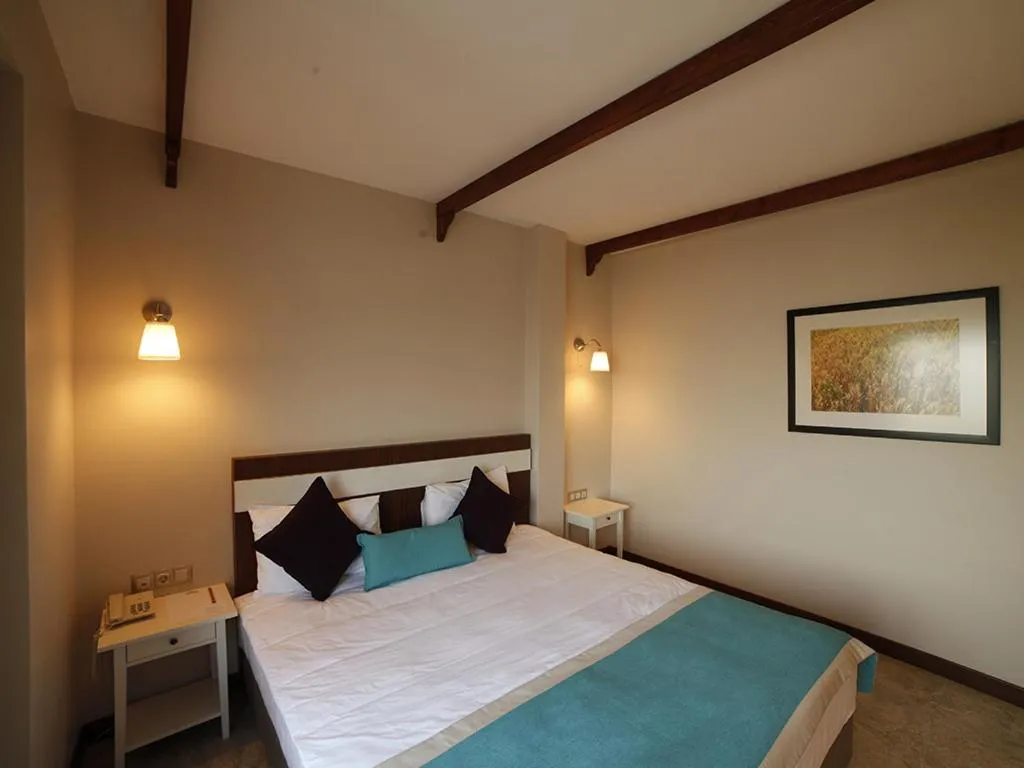 Bed in Hotel Milestone1915