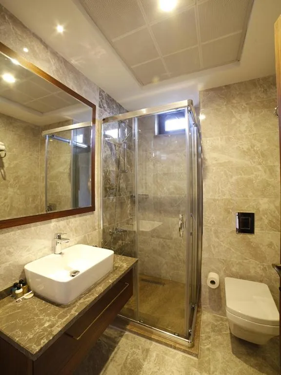 Bathroom in Hotel Milestone1915