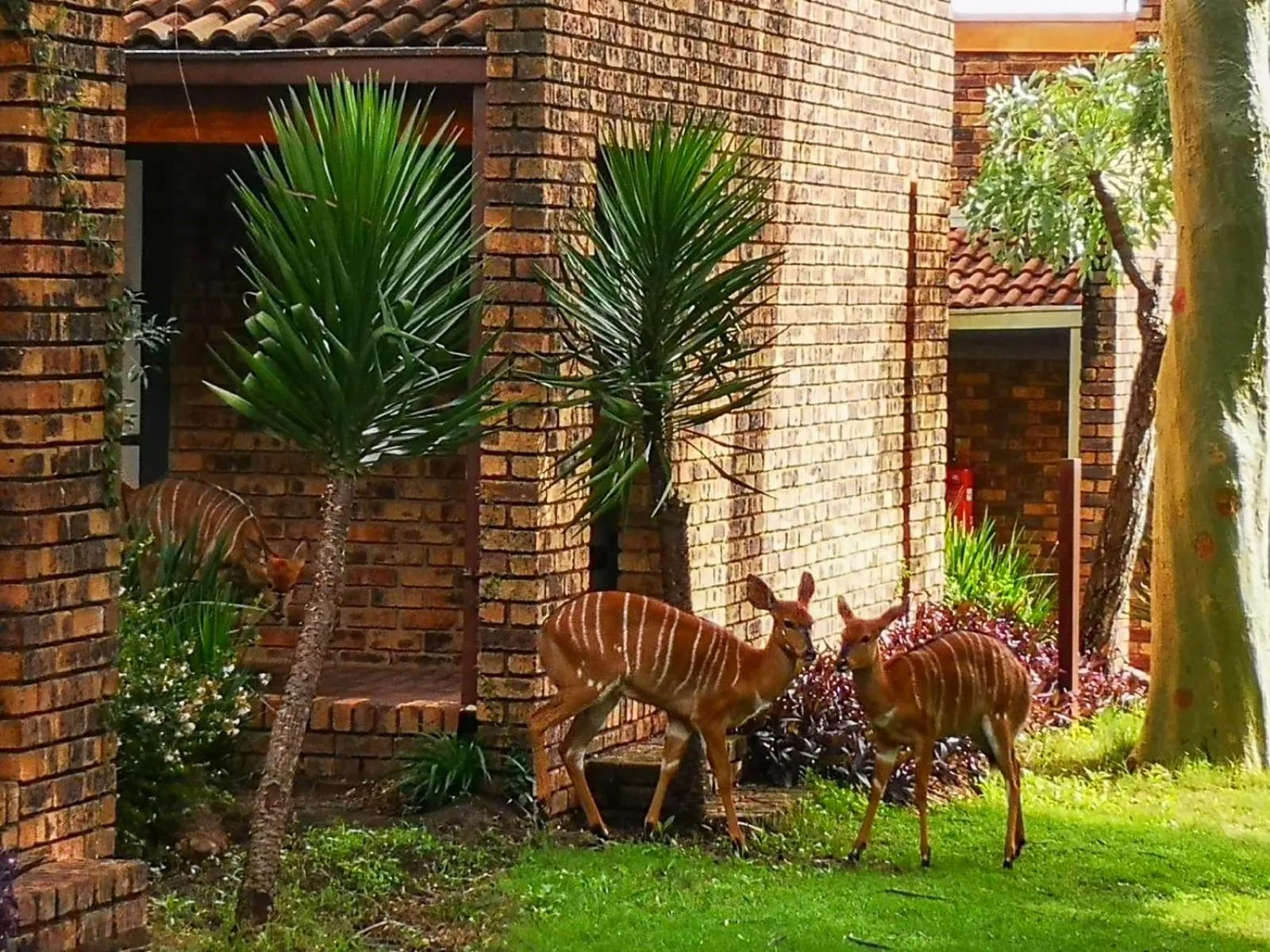 The Venue Country Hotel & Spa