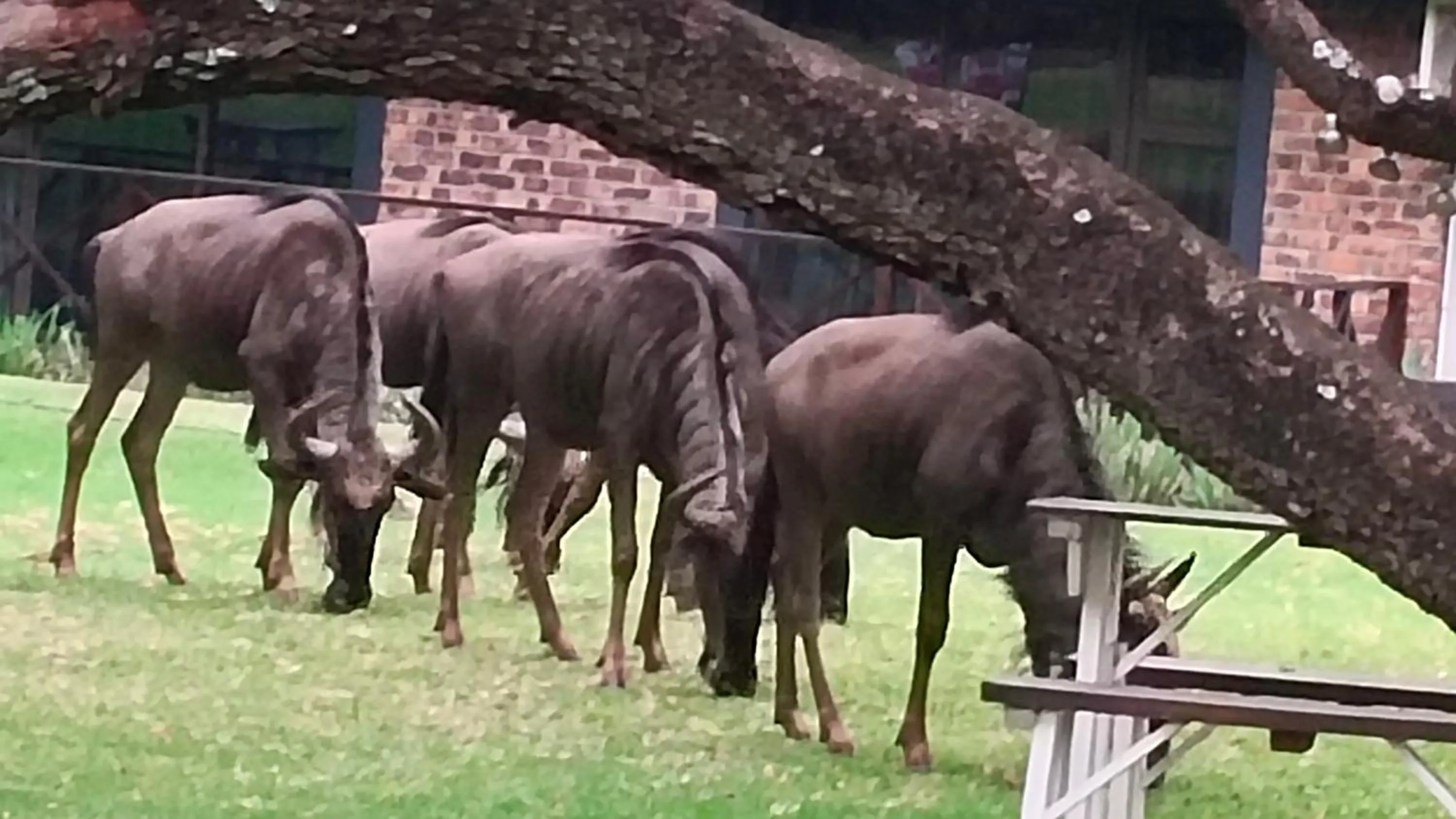 The Venue Country Hotel & Spa