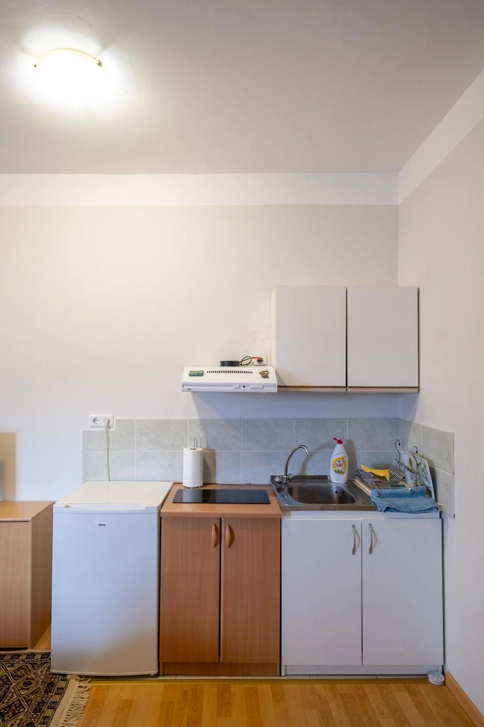Kitchen or kitchenette in Guesthouse Rose
