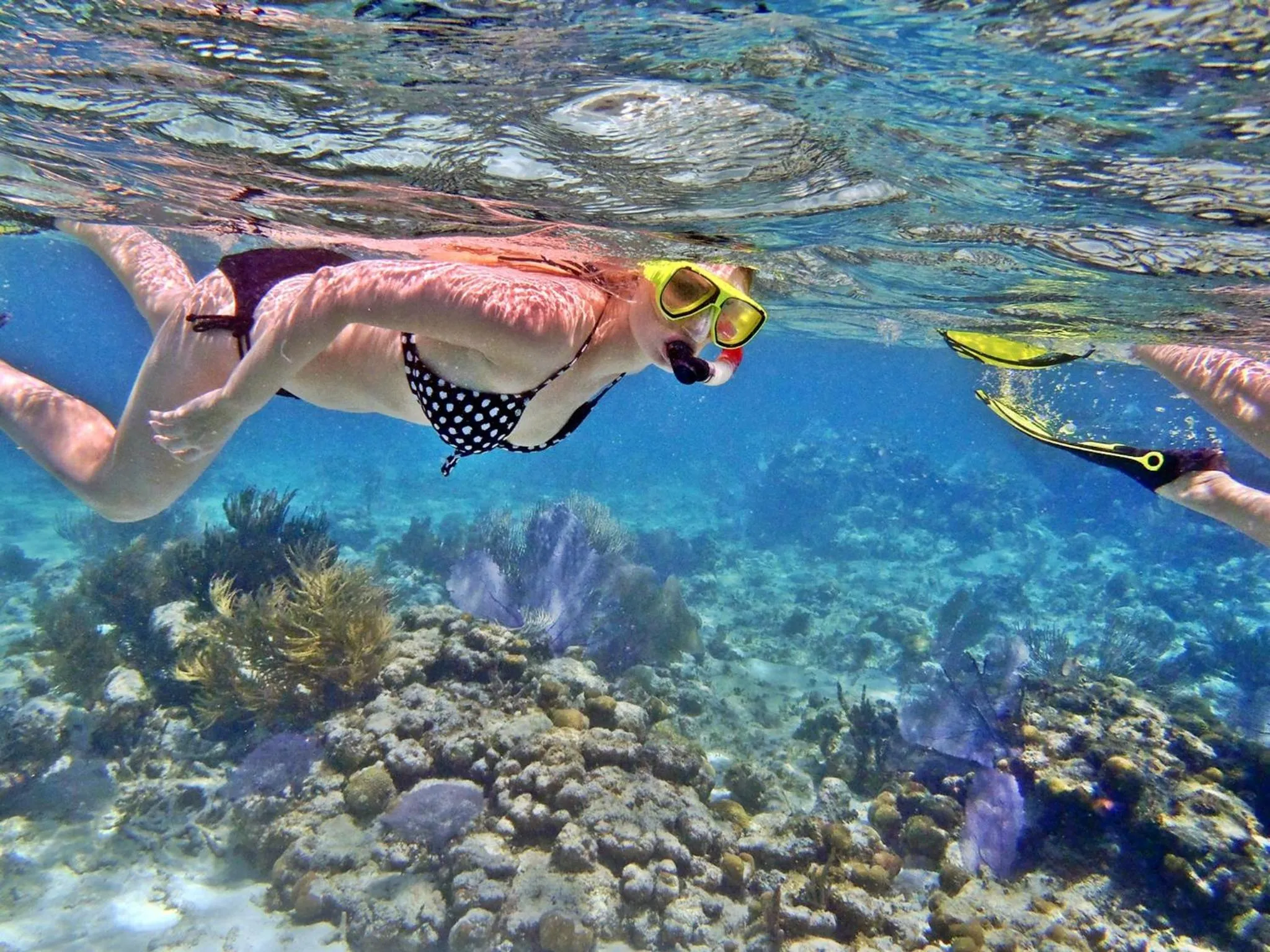 Snorkeling in Vista Beach Retreat