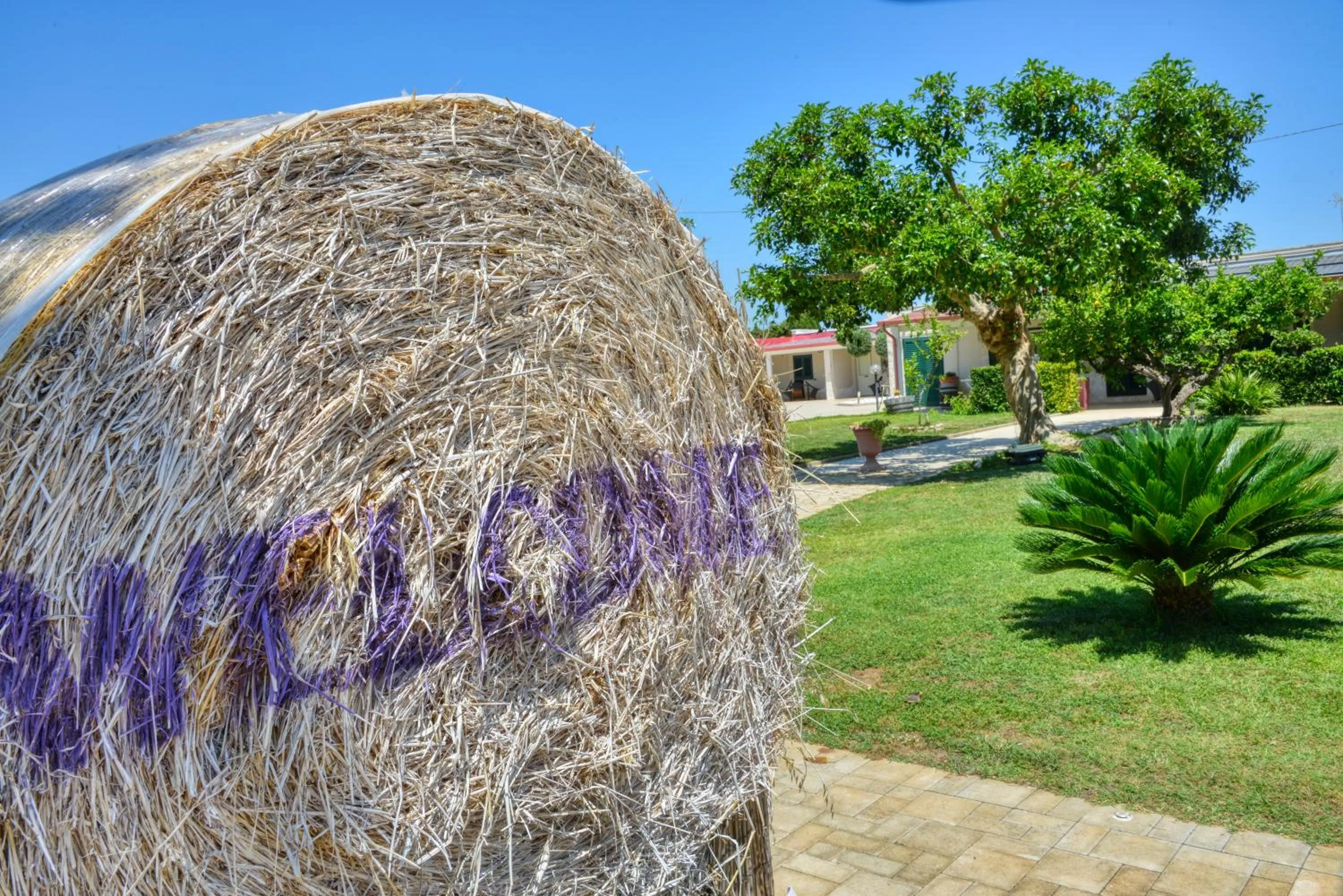 Property building in Tenuta Paifer