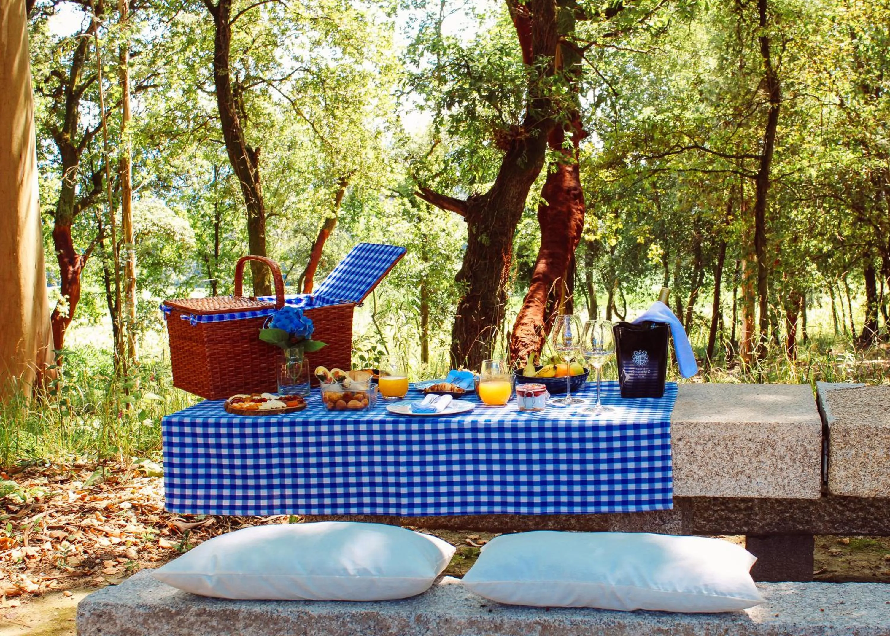 Activities in Torre de Gomariz Wine & Spa Hotel