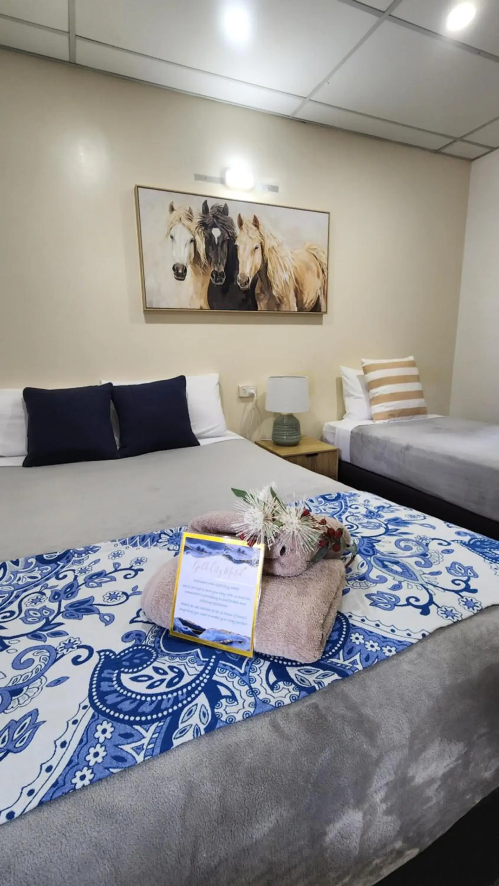 Ground Floor Room with Queen and Single in Gold City Motel Ground Floor Room with Queen and Single in Gold City Motel