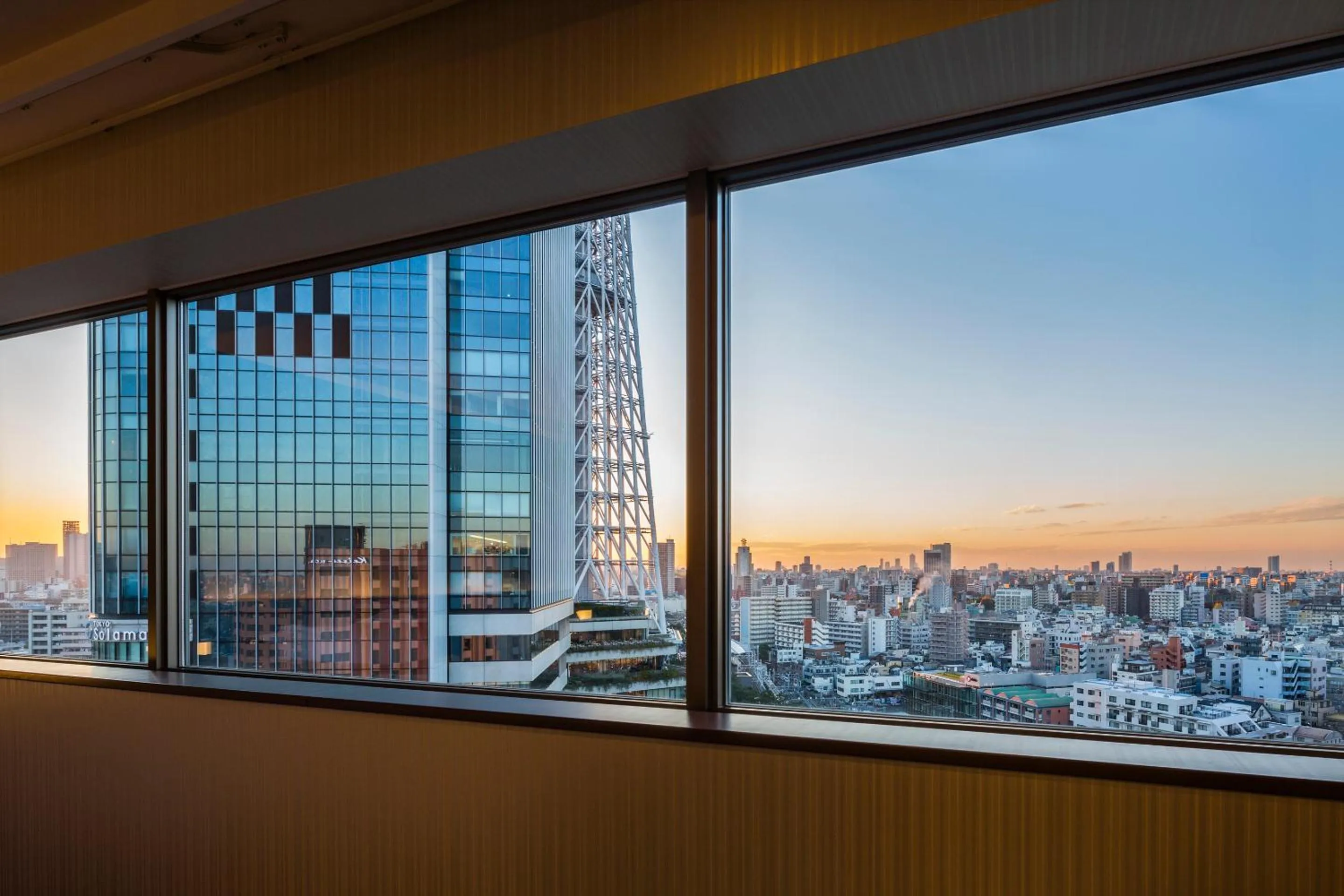 City view in Richmond Hotel Premier Tokyo Schole