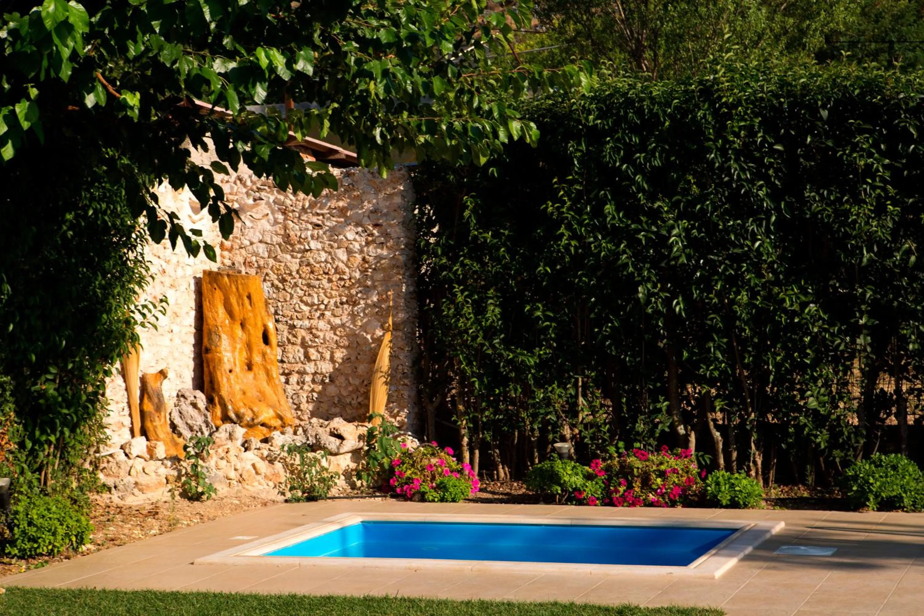 Garden in Exanthia Villas