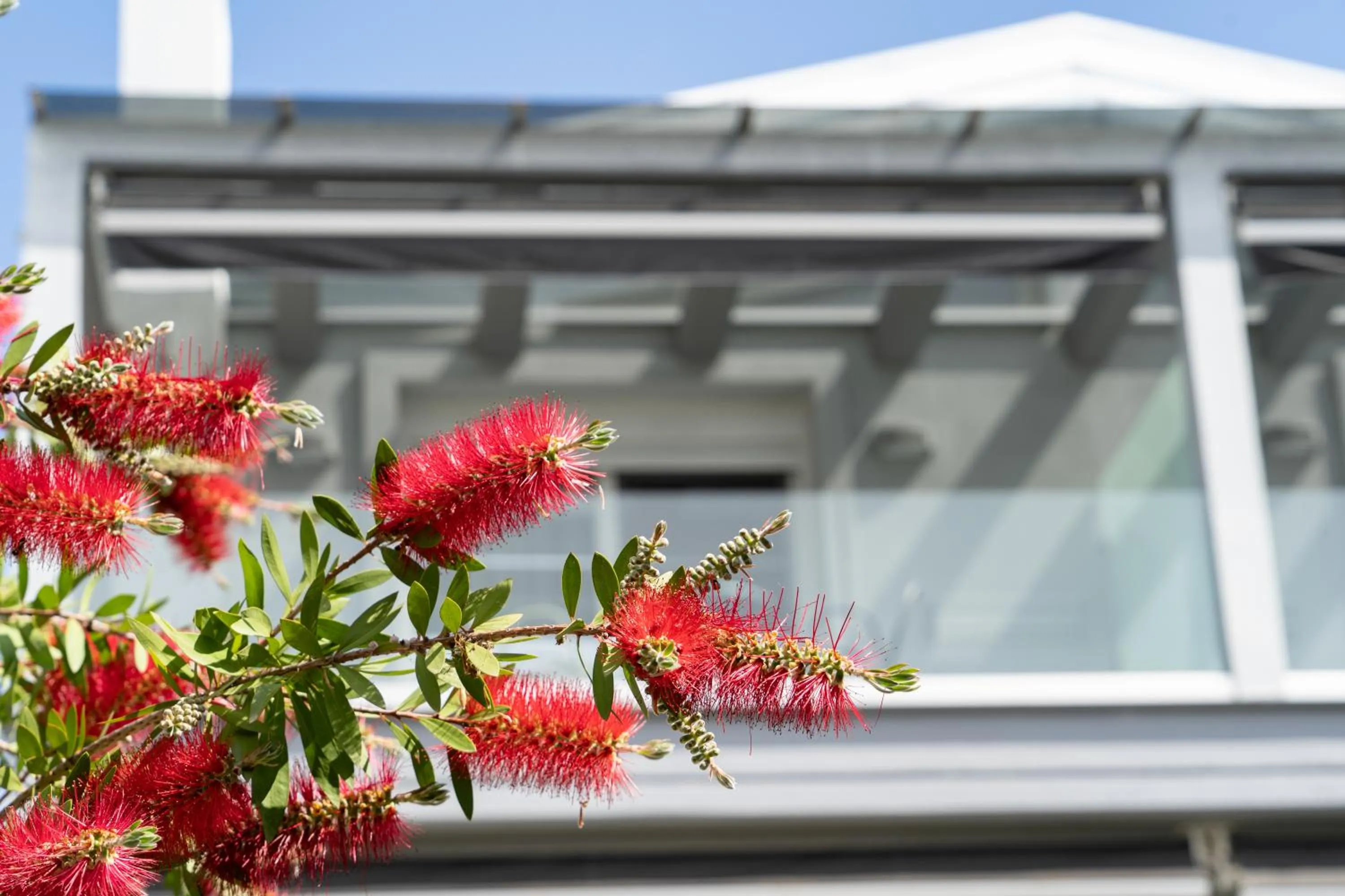 Edem Luxury Apartments