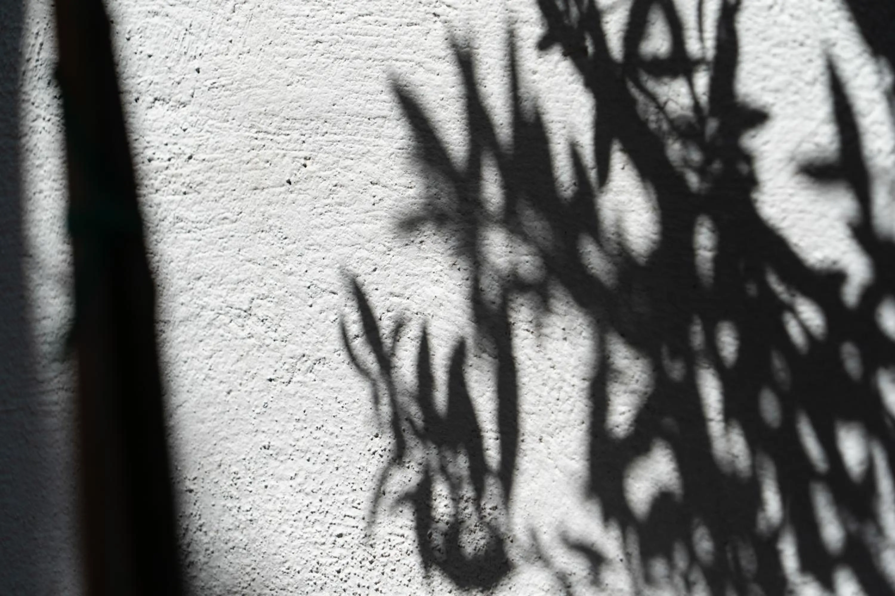 Edem Luxury Apartments