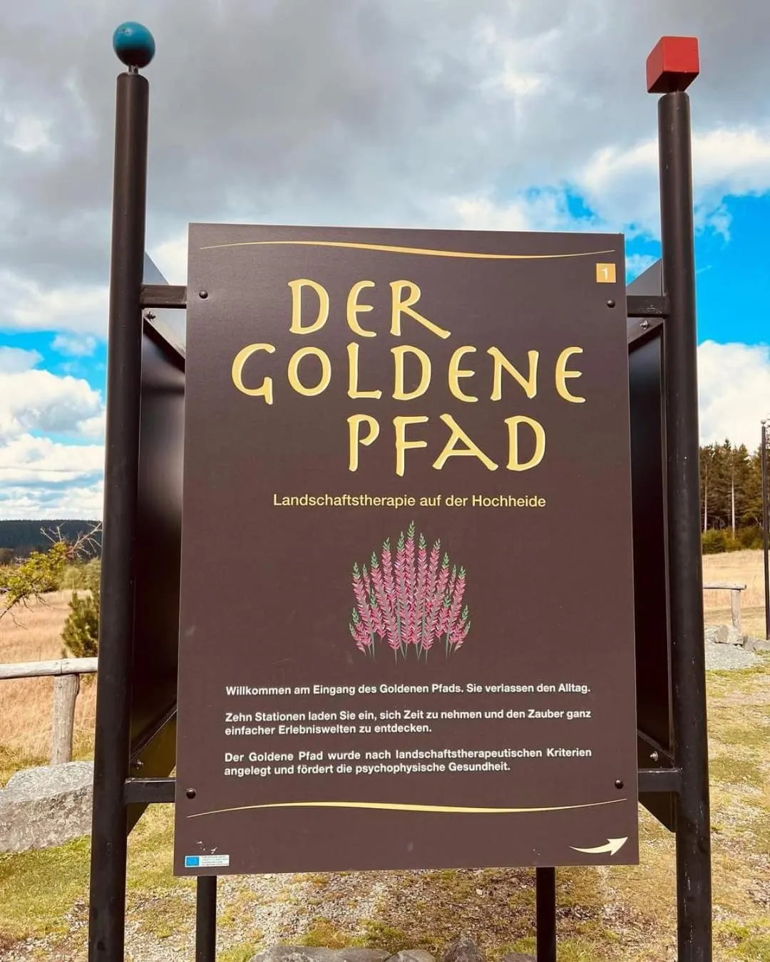 Area and facilities in Gasthof Sonnental