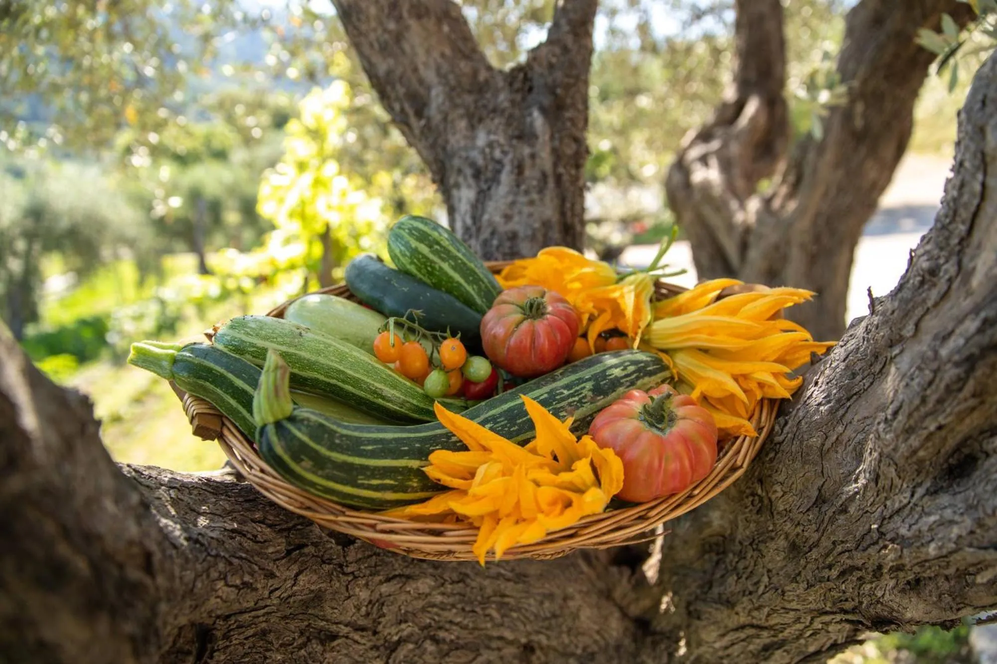 Garden in Villa Ginevra Resort Agrituristico