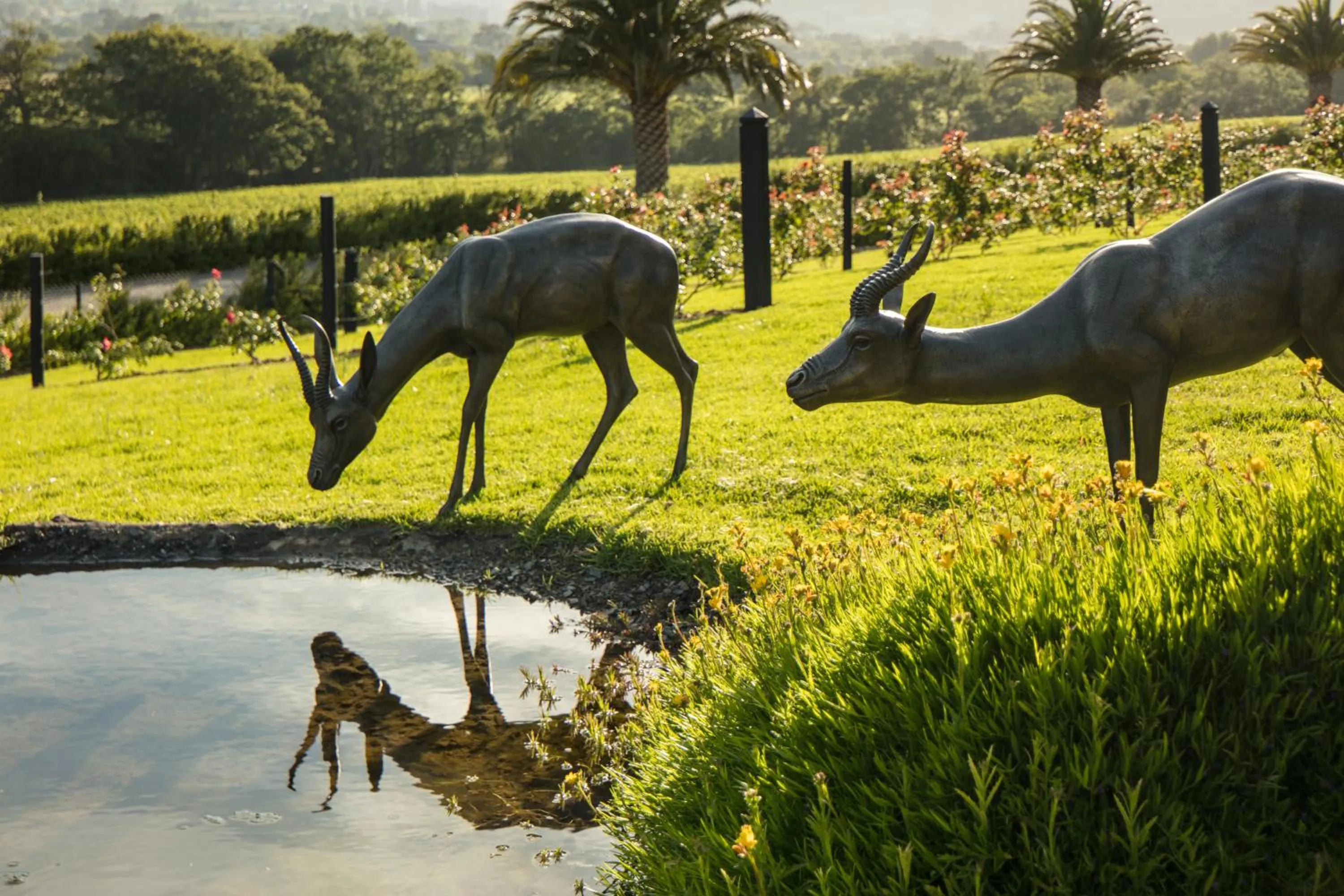 Garden in Leeu Estates