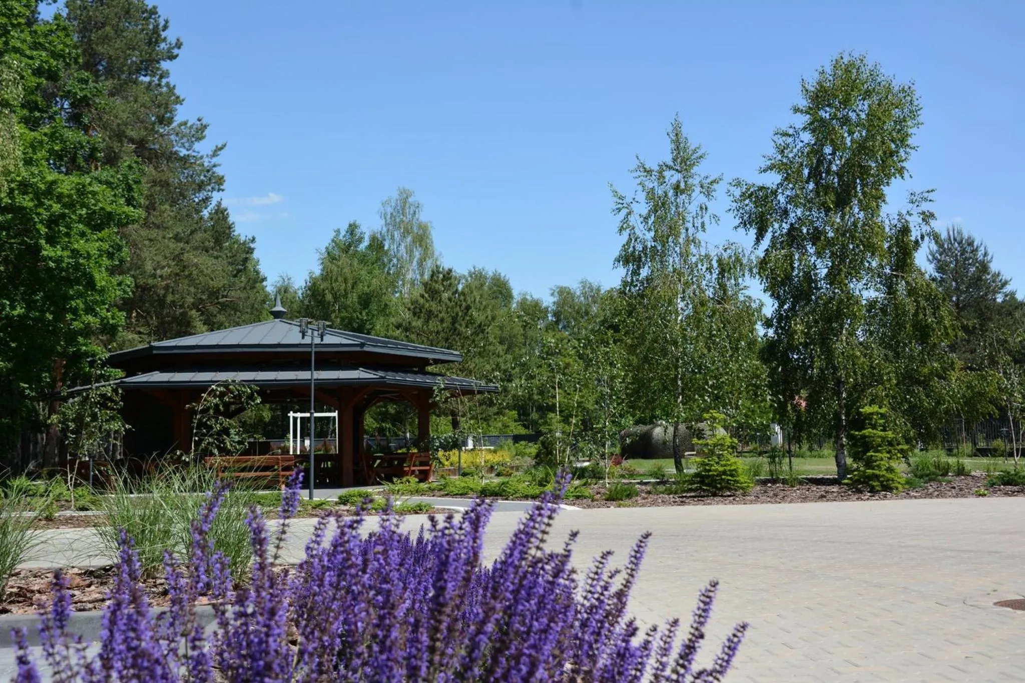 Garden in Hotel KARO