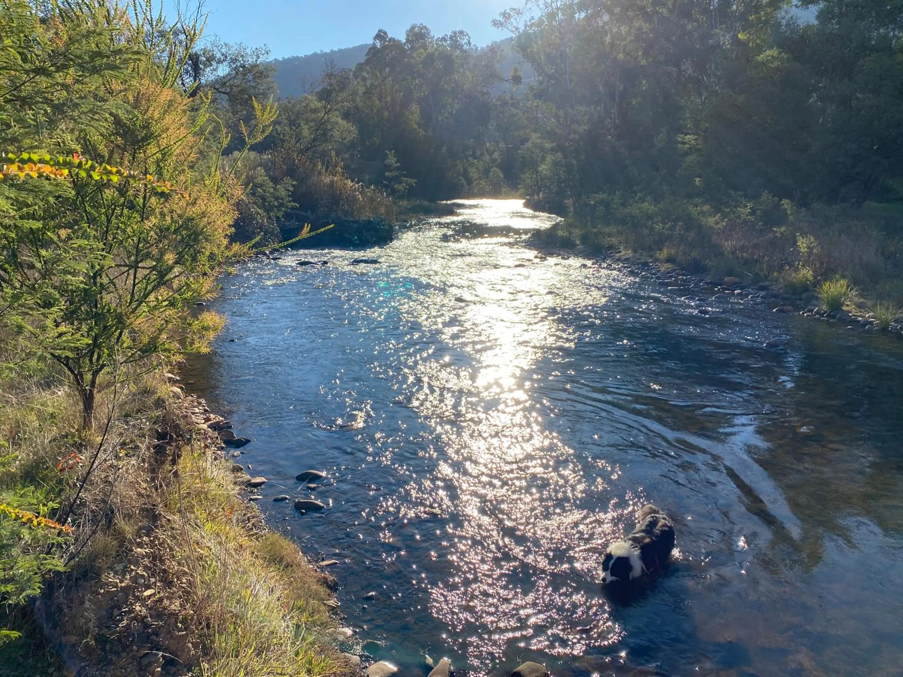 Natural landscape in Bright Porepunkah Holiday Park