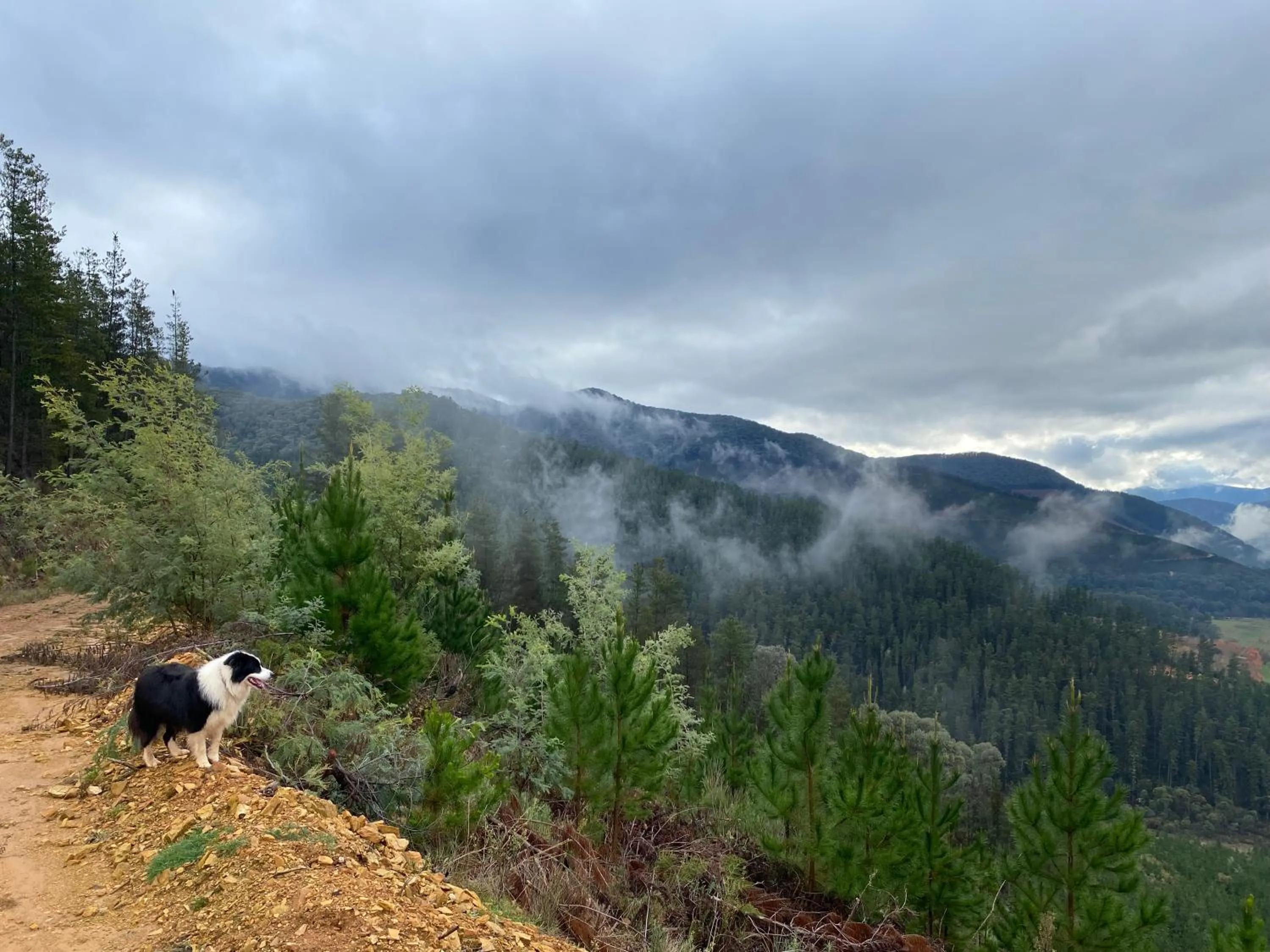 Natural landscape in Bright Porepunkah Holiday Park