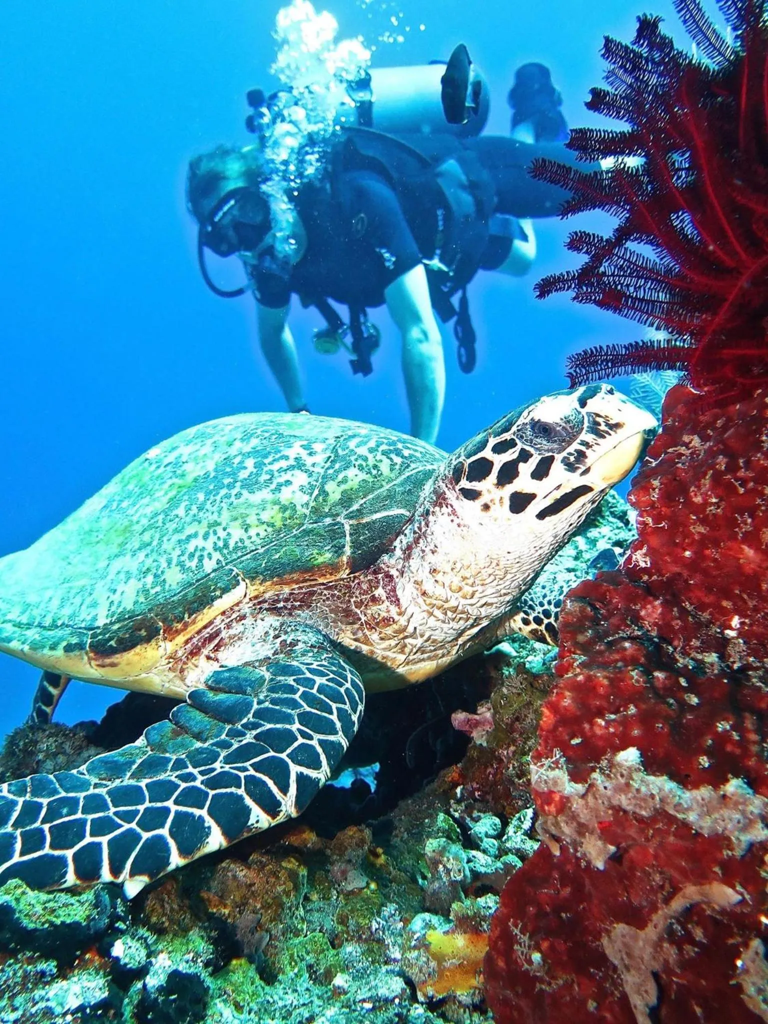 Property building in Life in Amed Beach Hotel