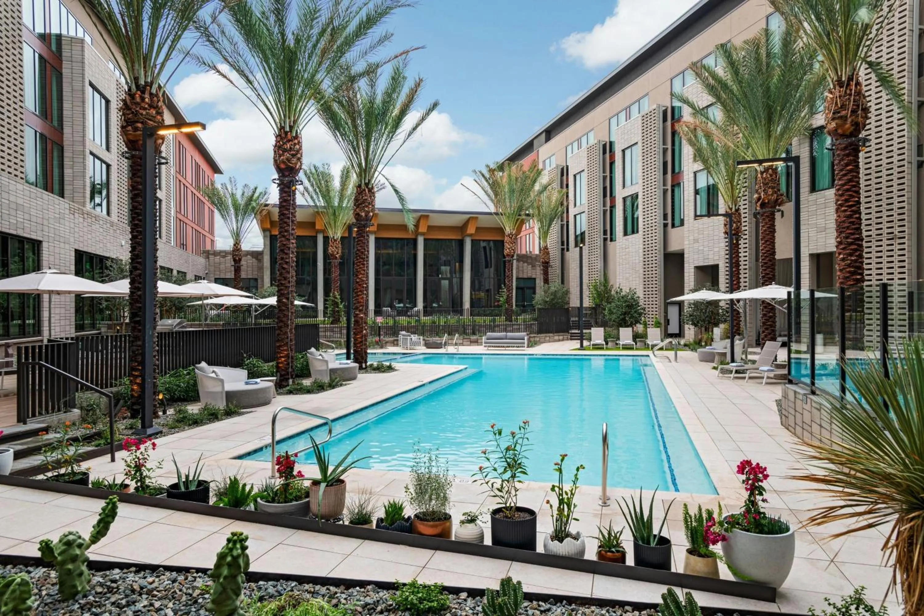 Swimming pool in AC Hotel by Marriott Phoenix North Norterra