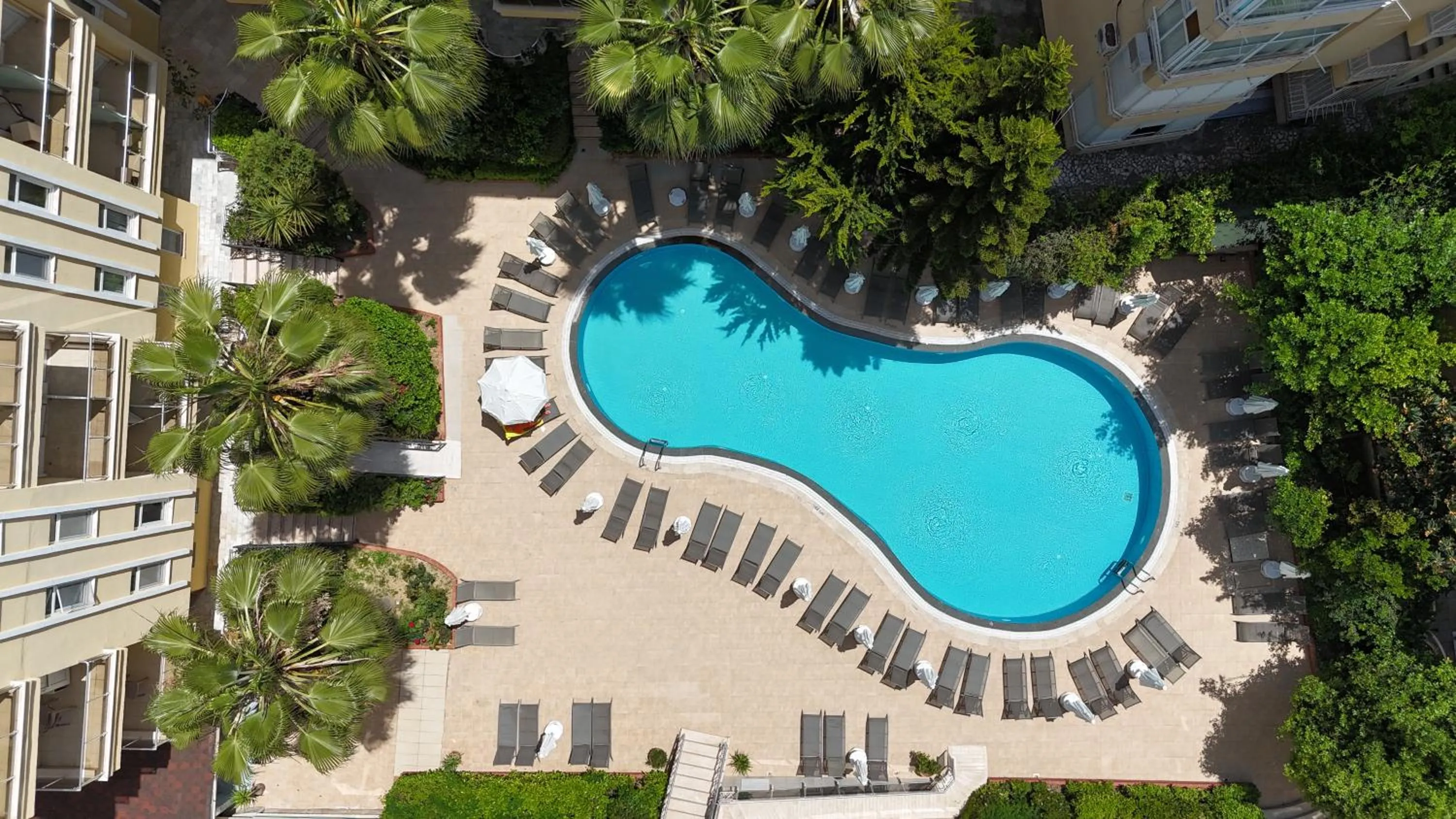 Swimming pool in Cıtrus Plaza Hotel
