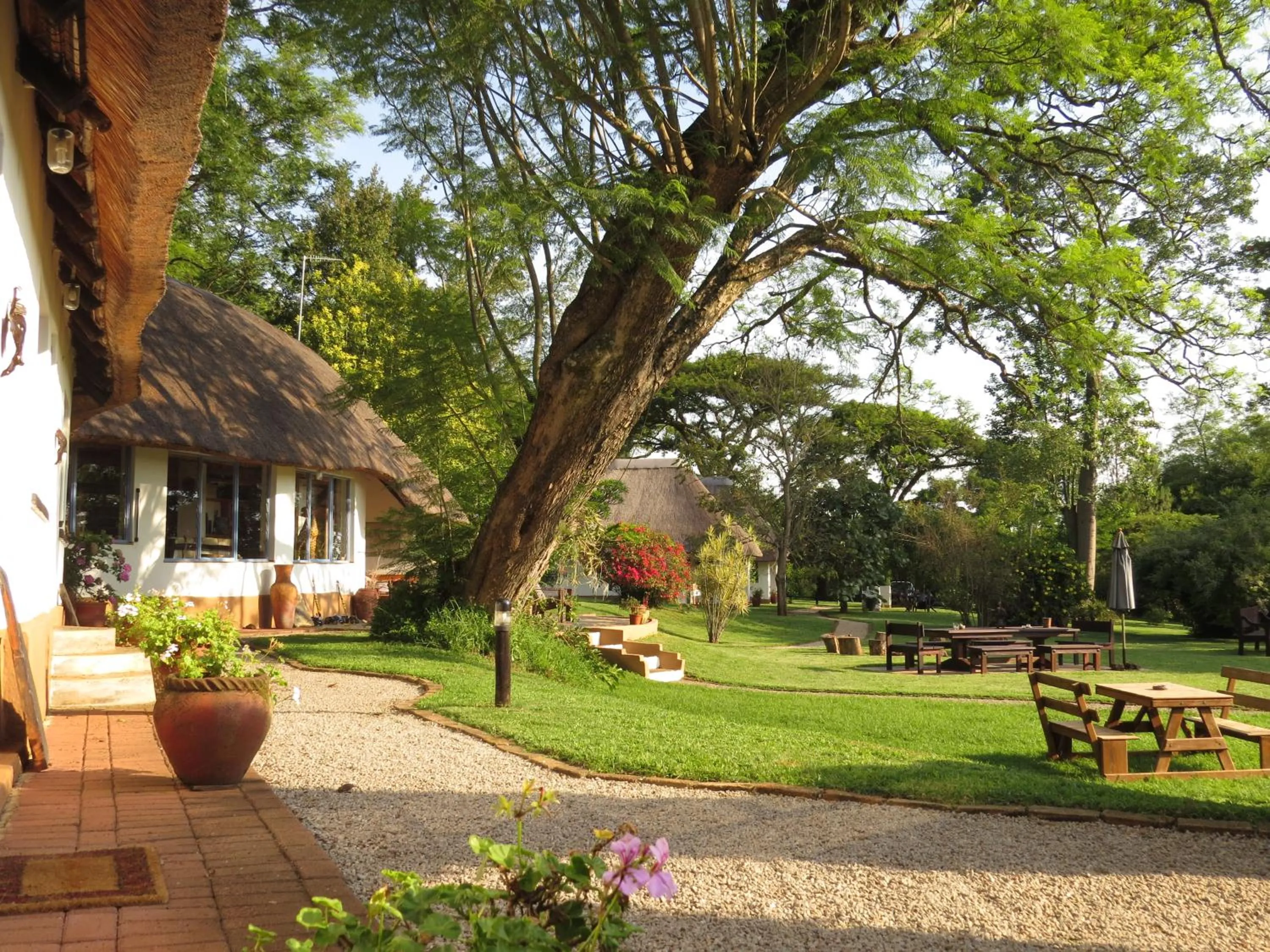 Summer in Thokozani Lodge