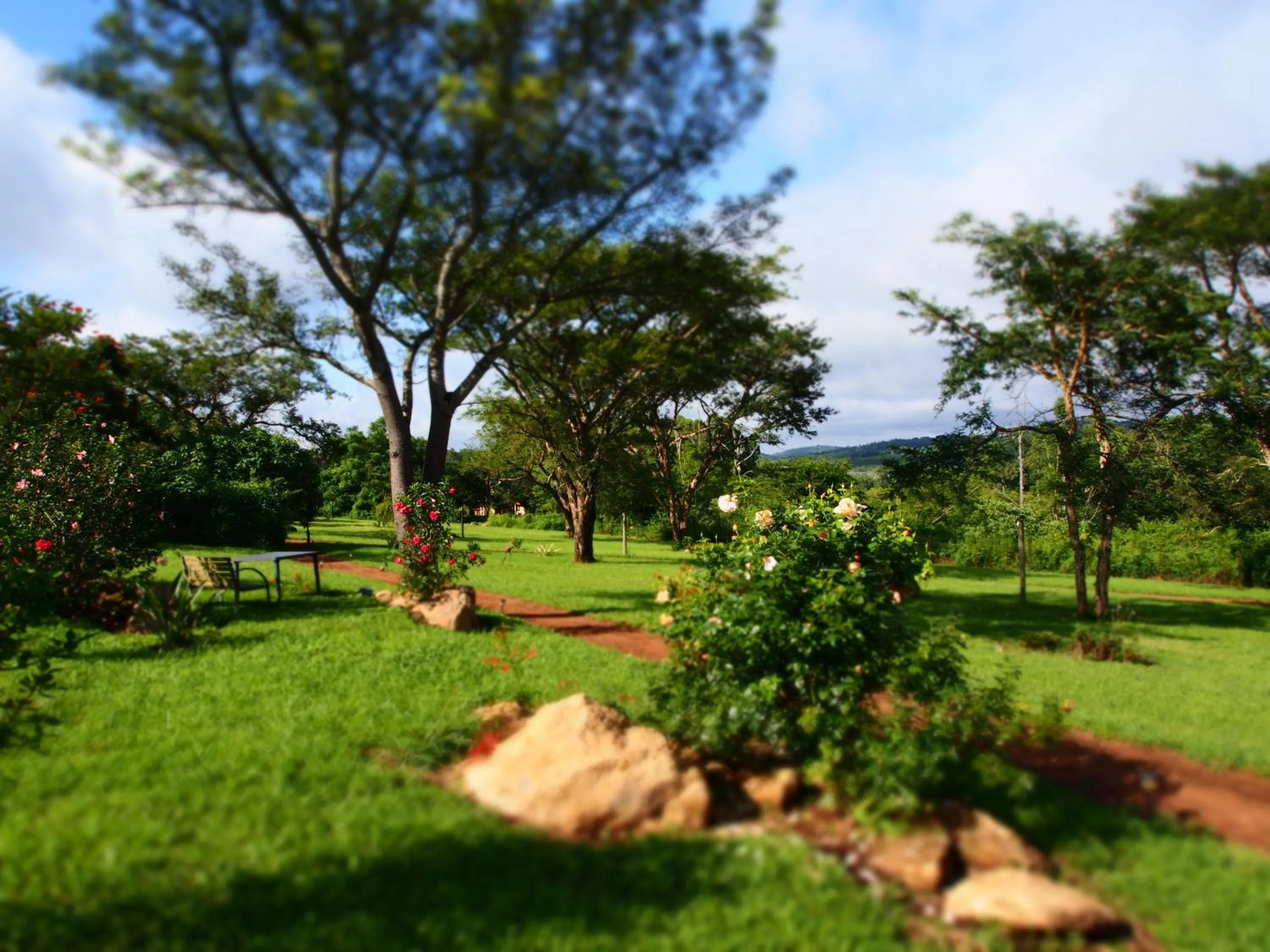 Day in Thokozani Lodge