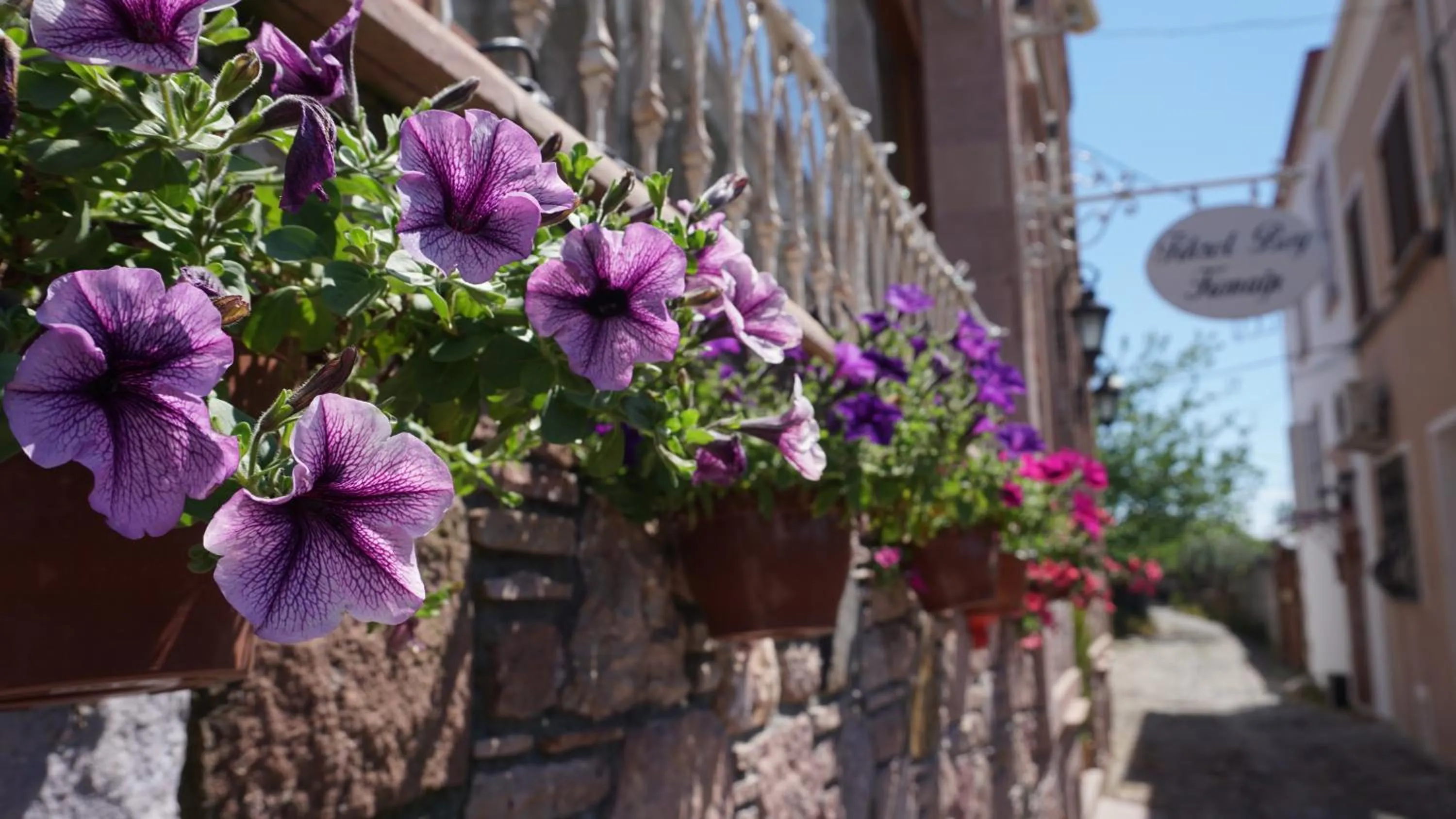 Facade/entrance in Fikretbey Konağı