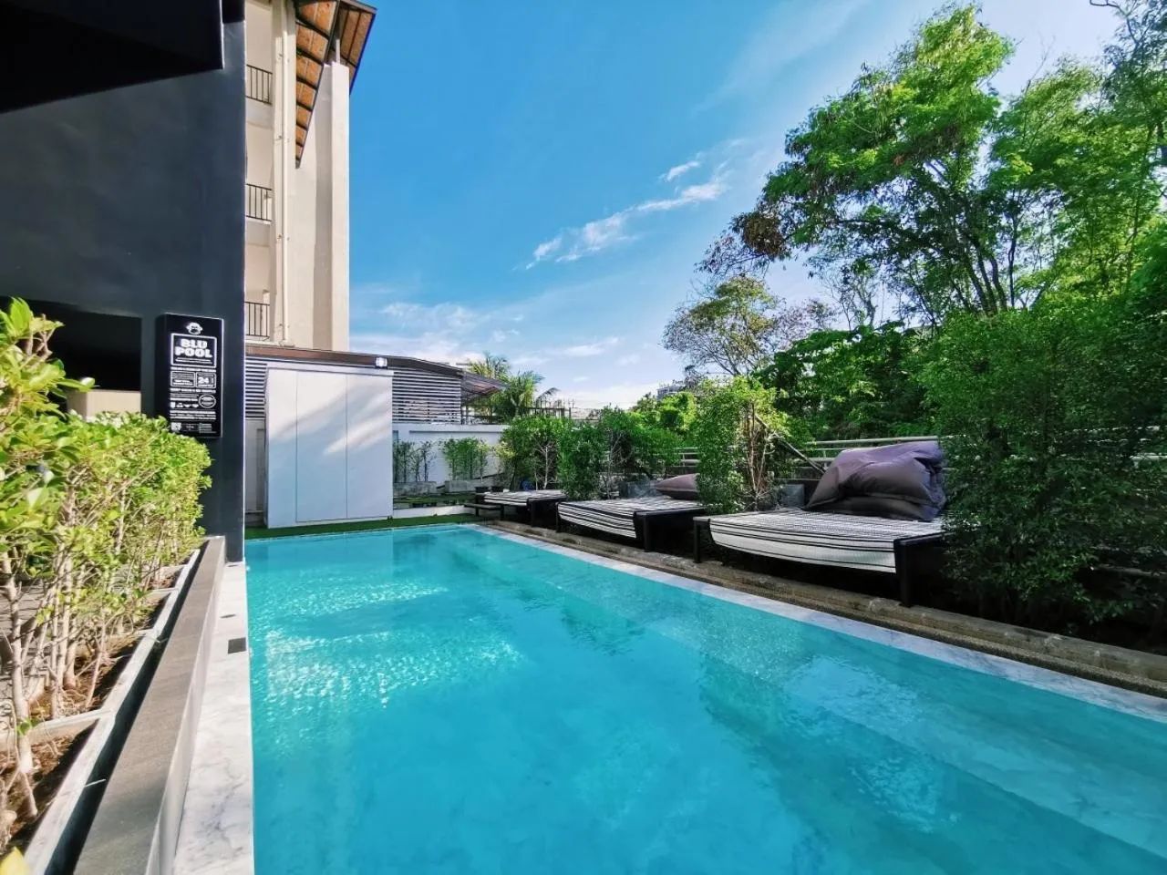 Swimming pool in Blu Monkey Hub and Hotel Phuket Town- Free All Day Coworking space
