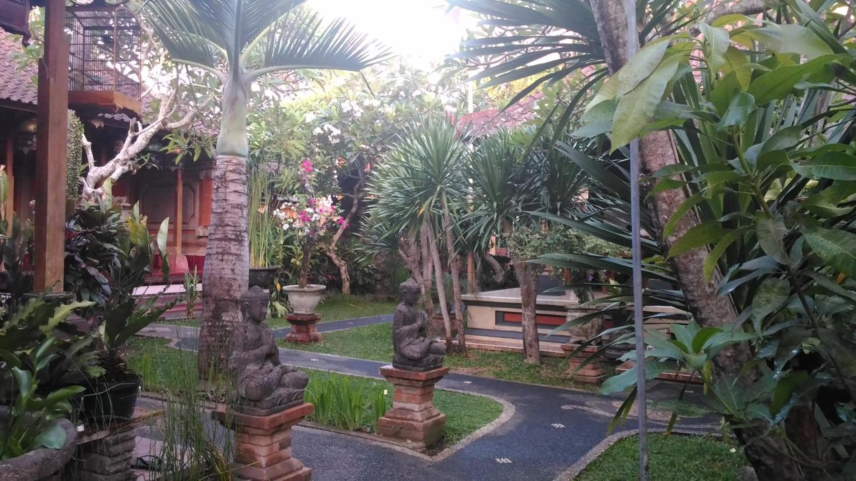 Natural landscape in Suryadina Guest House