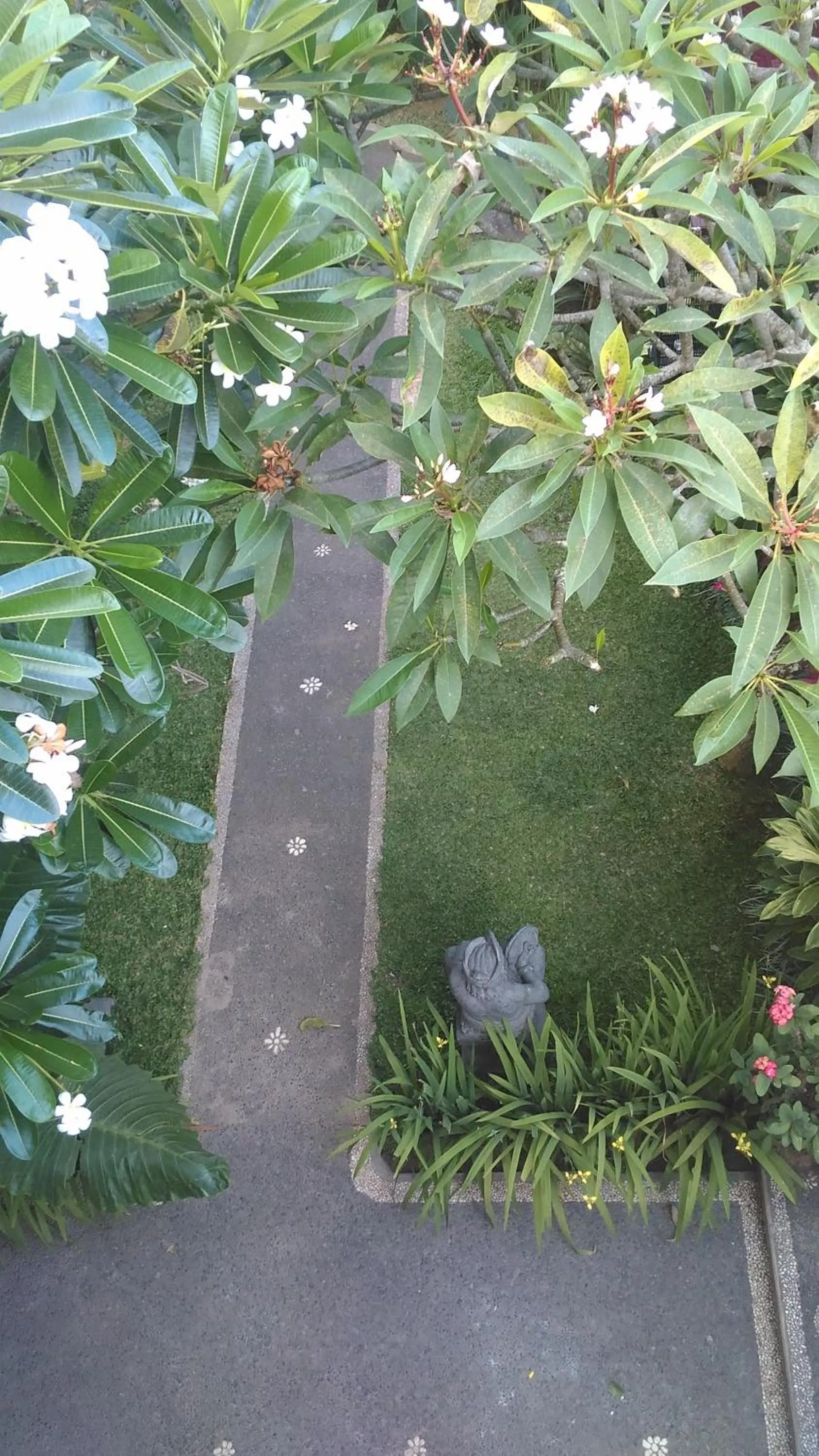 Day in Suryadina Guest House