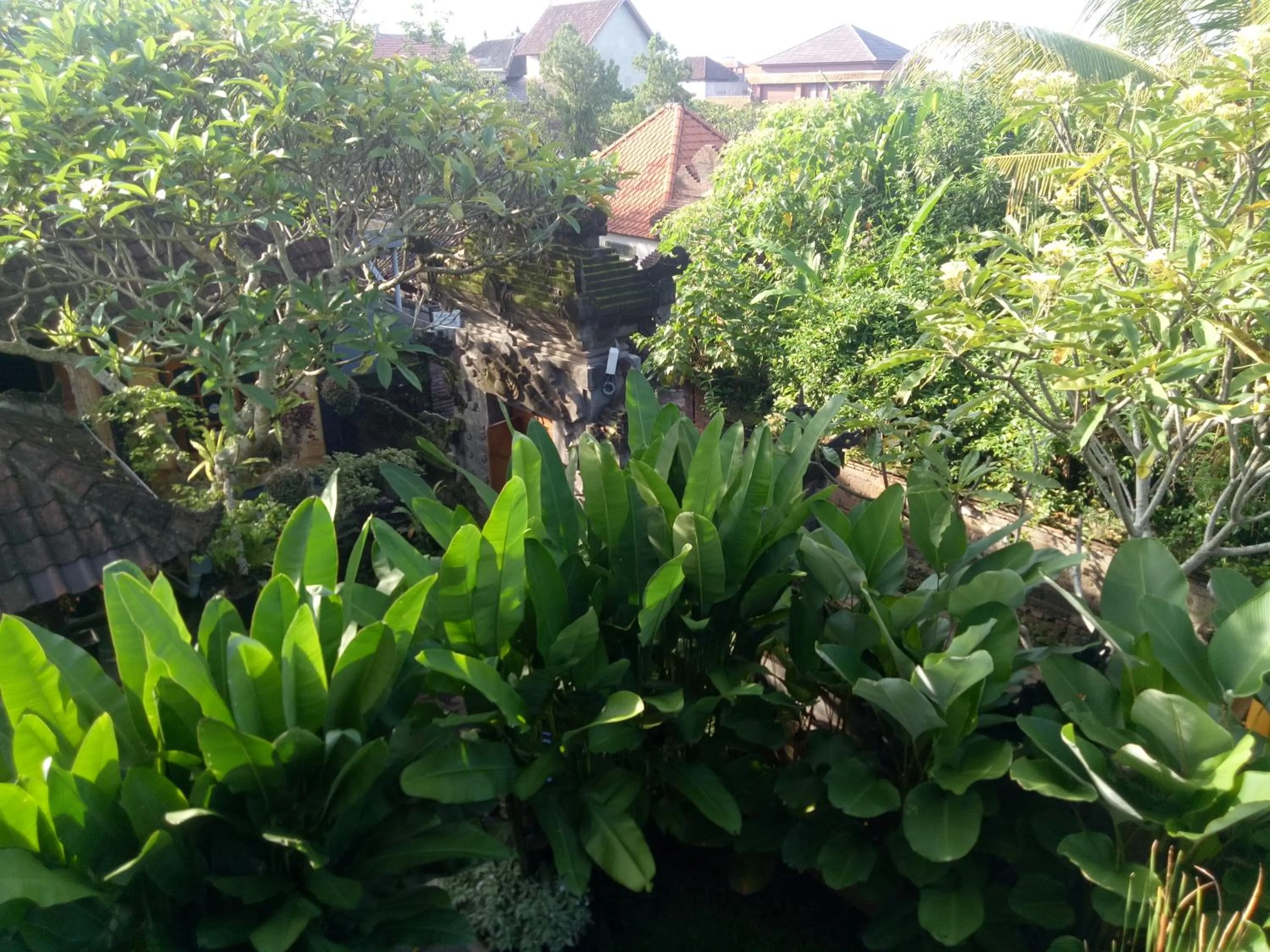 Suryadina Guest House