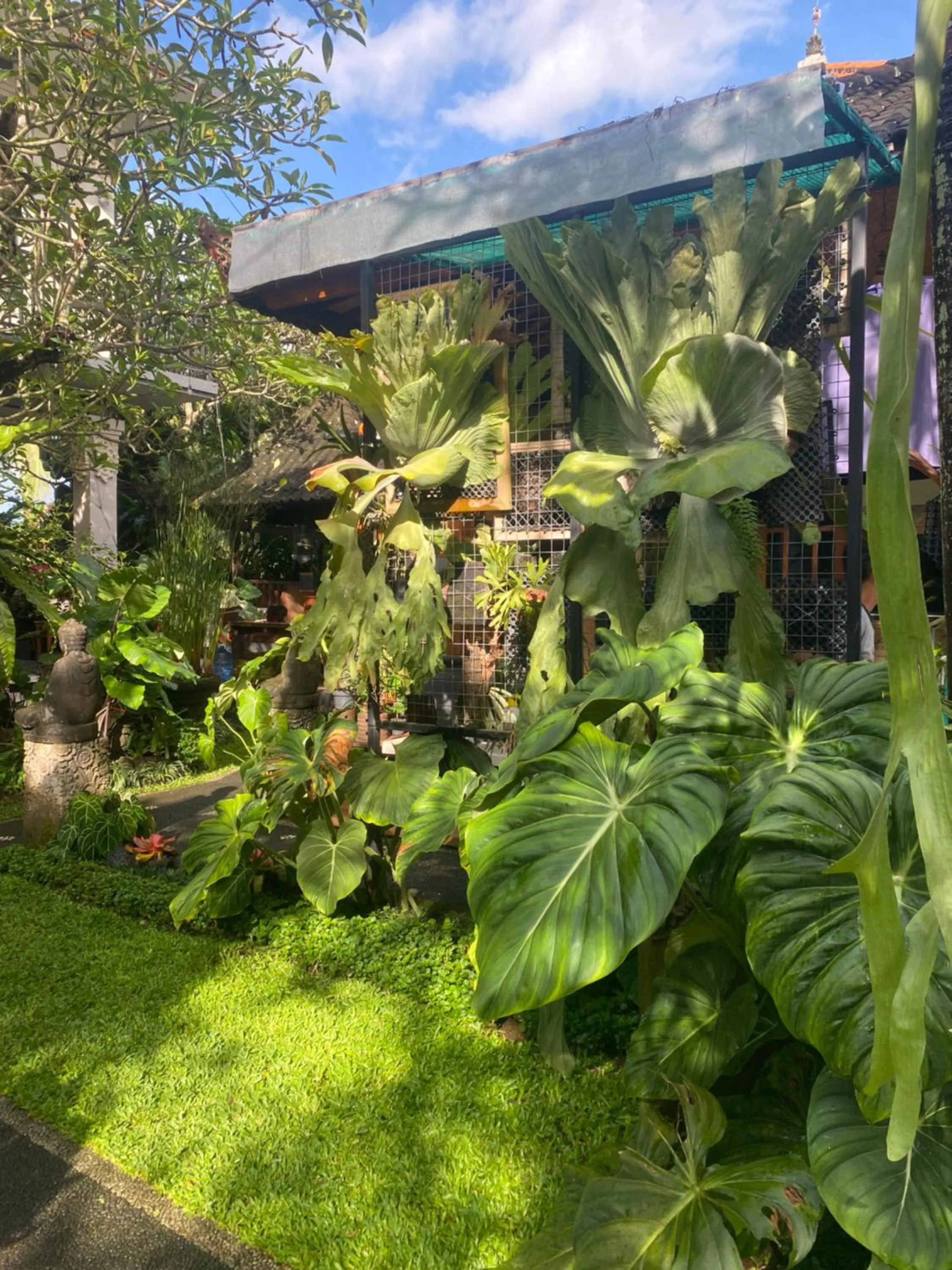 Suryadina Guest House