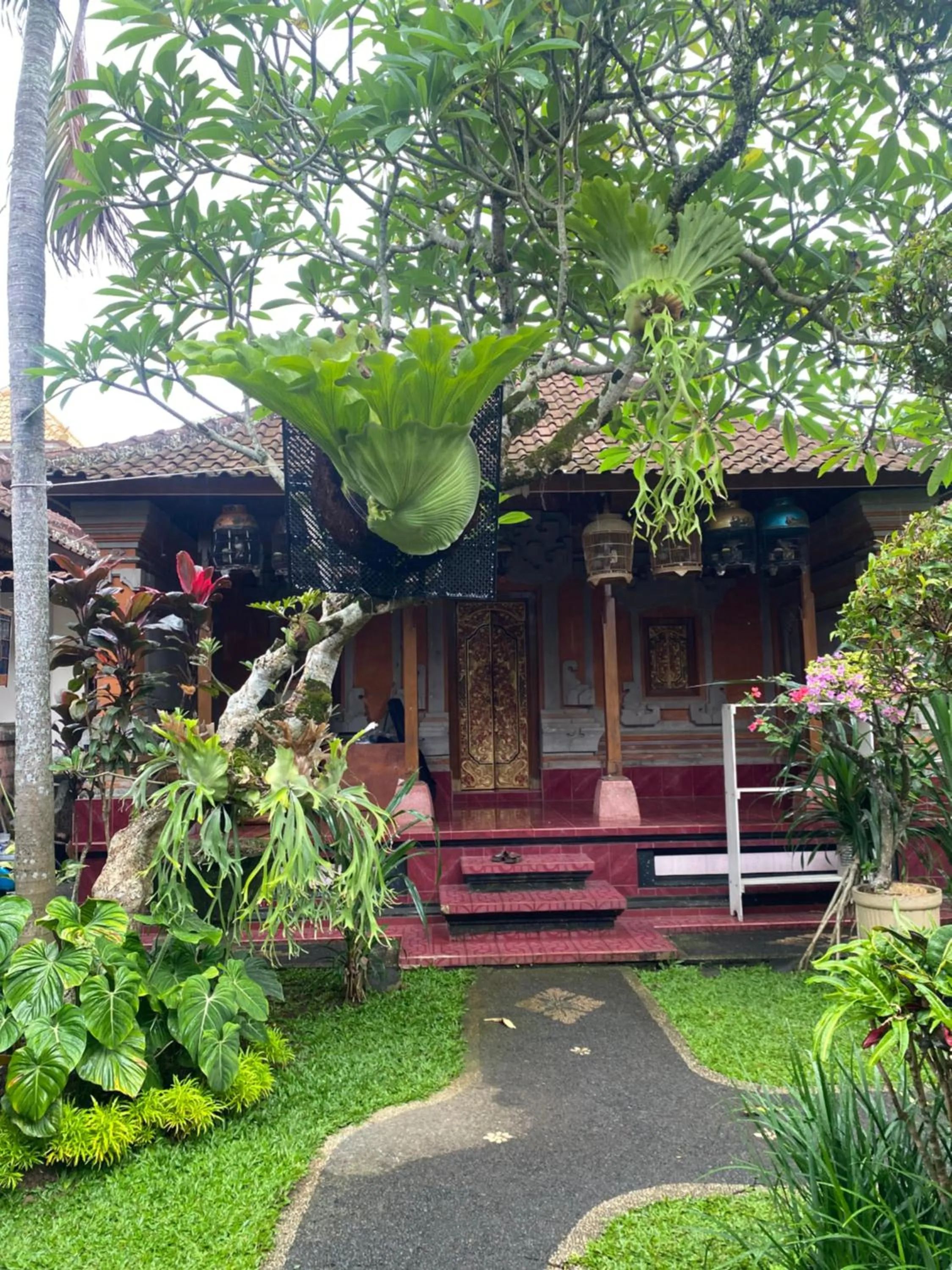 Suryadina Guest House