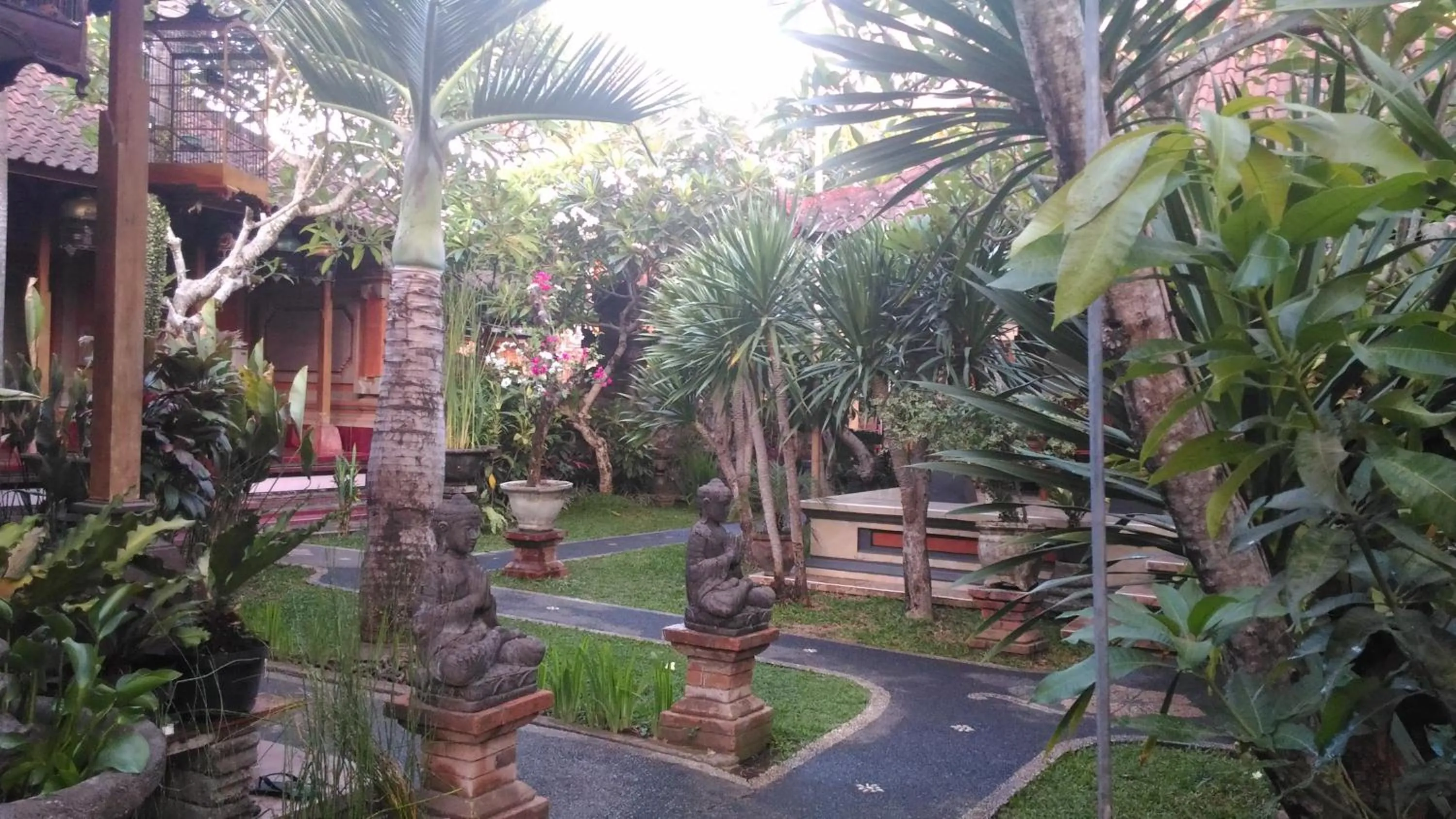 Garden in Suryadina Guest House
