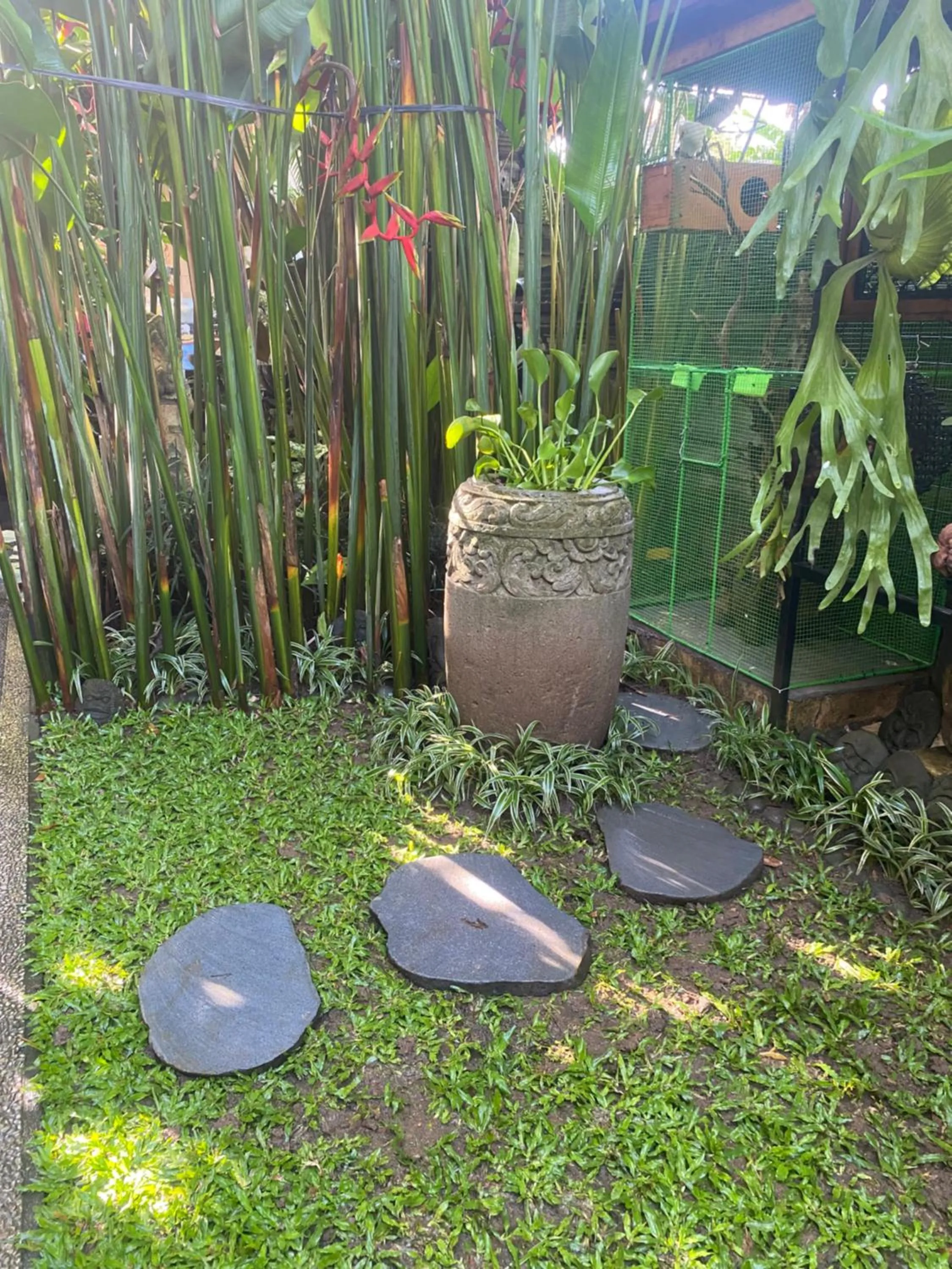 Suryadina Guest House