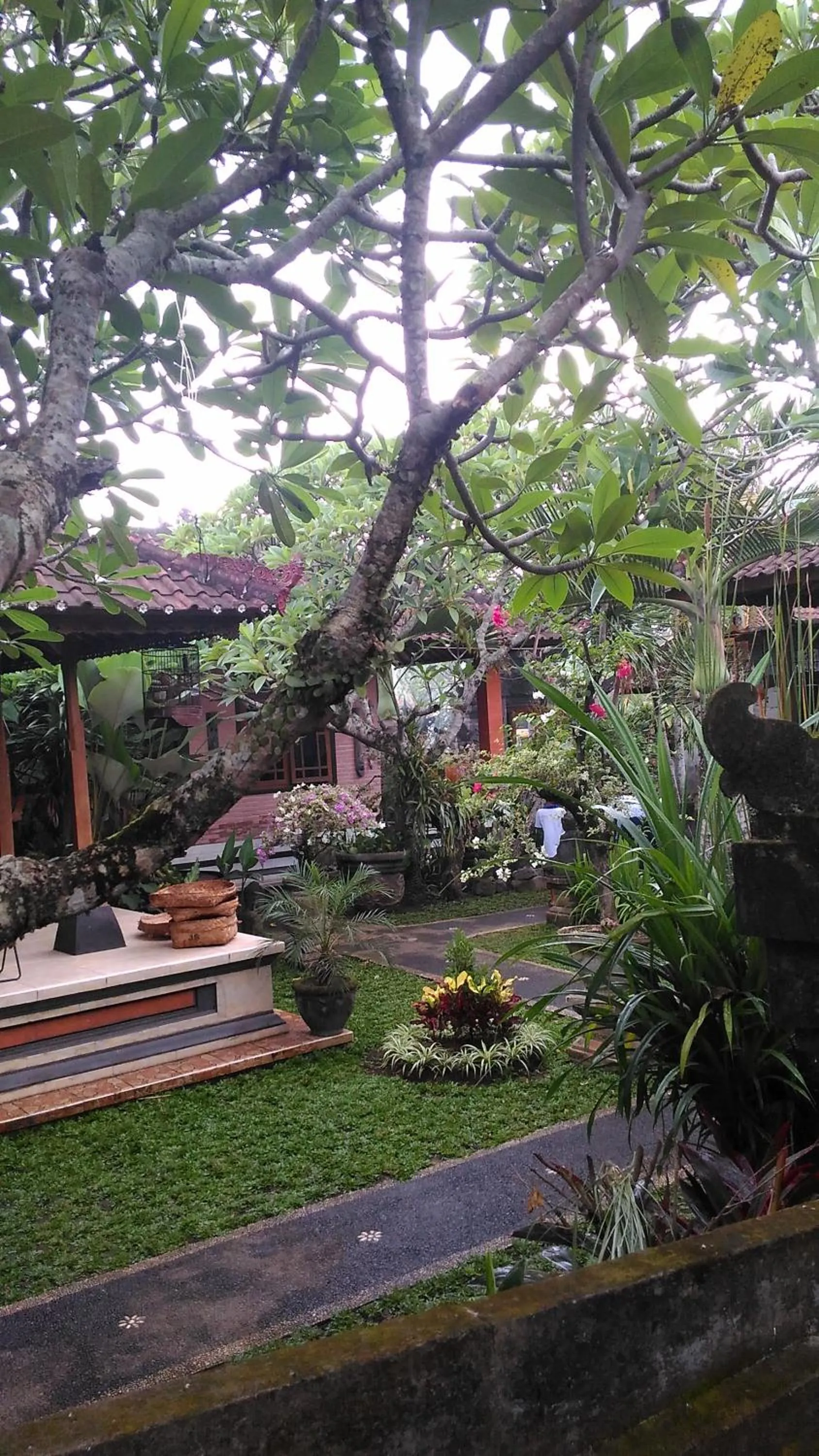 Natural landscape in Suryadina Guest House