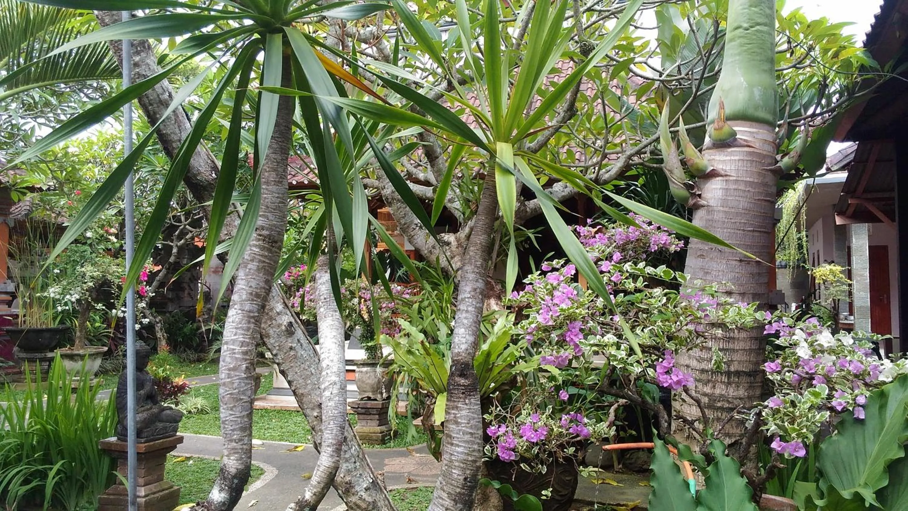 Neighbourhood in Suryadina Guest House