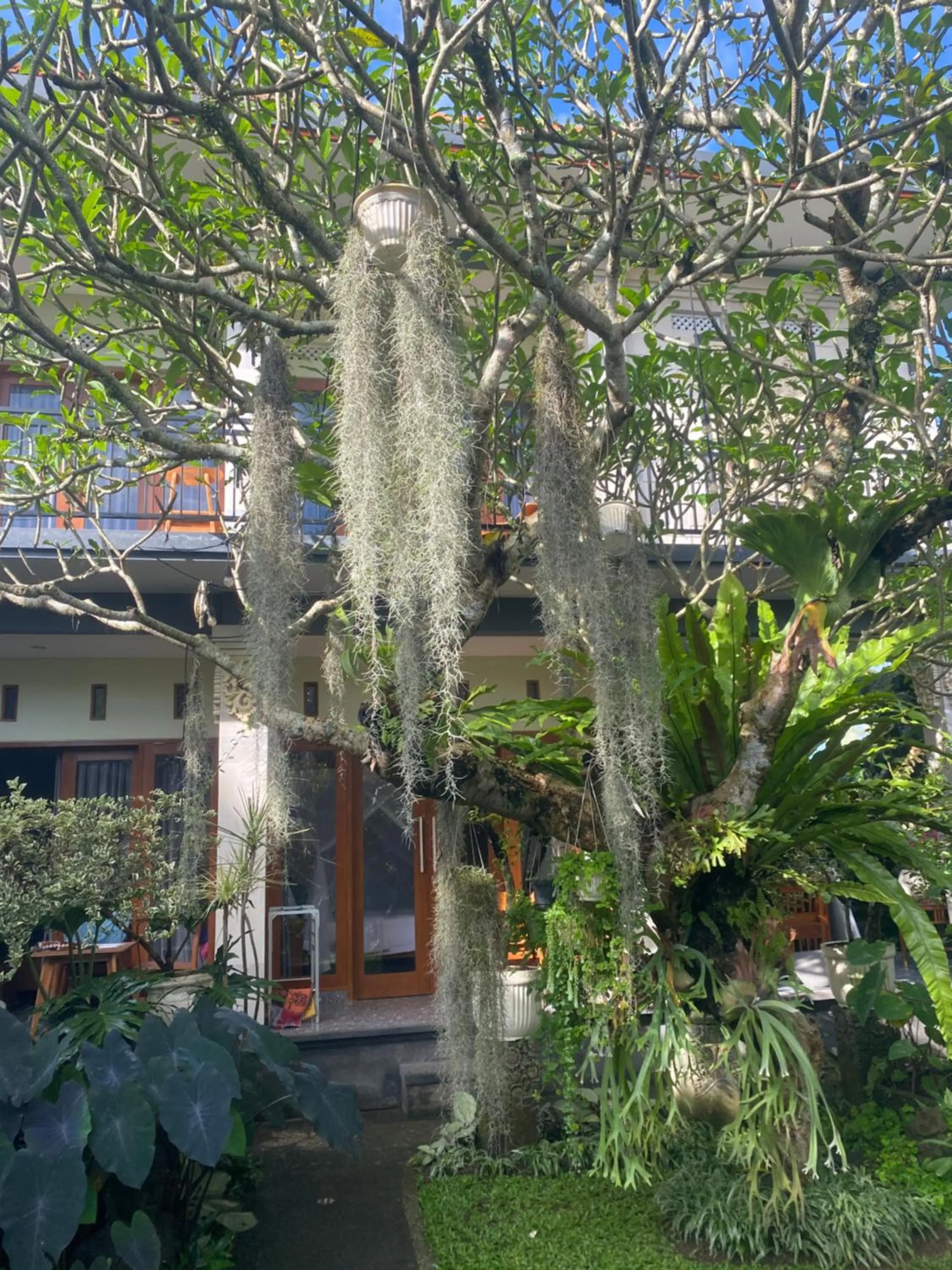 Suryadina Guest House