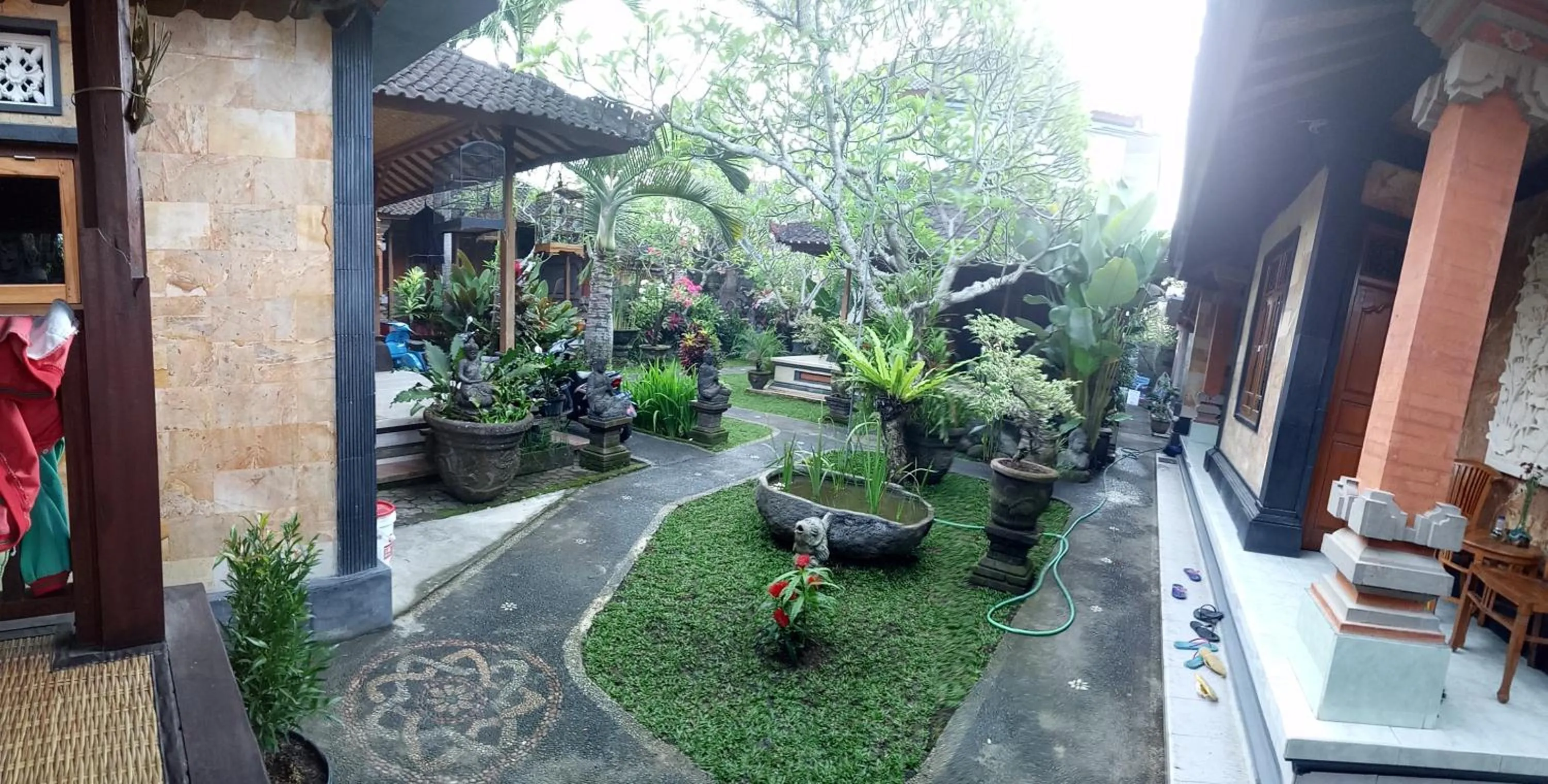 Garden view in Suryadina Guest House