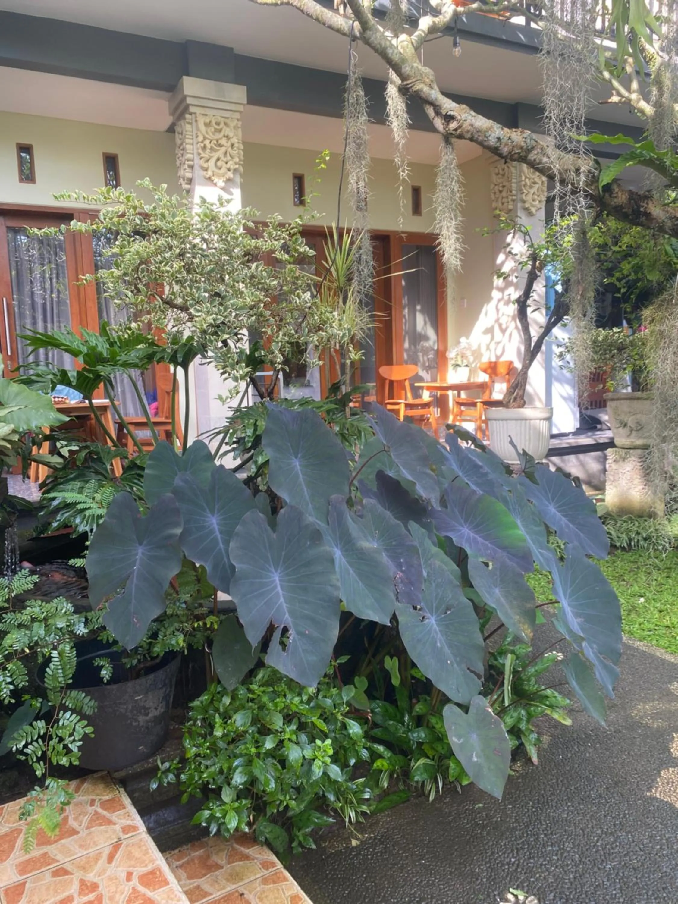 Suryadina Guest House
